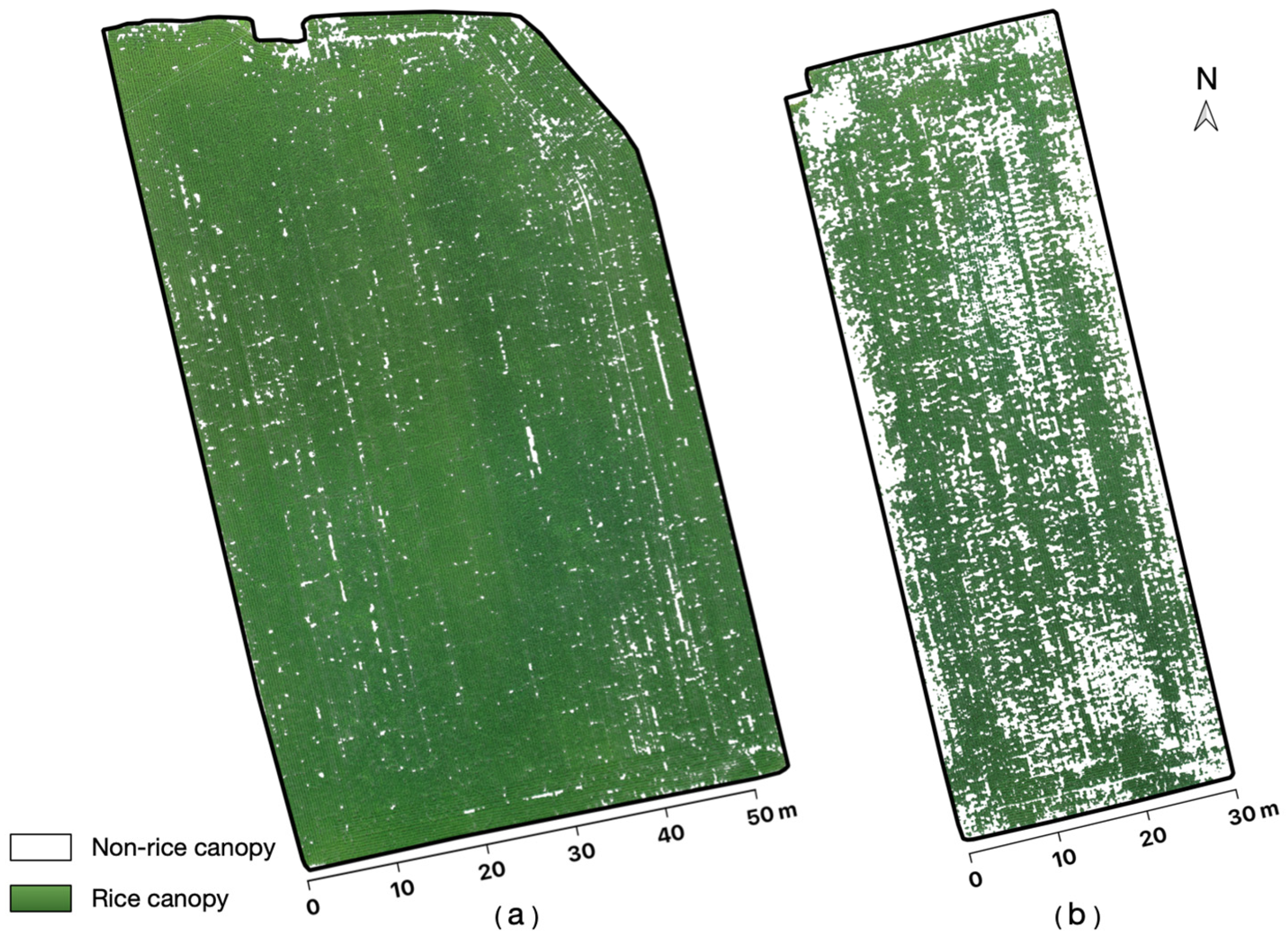 Agriculture 14 00299 g007