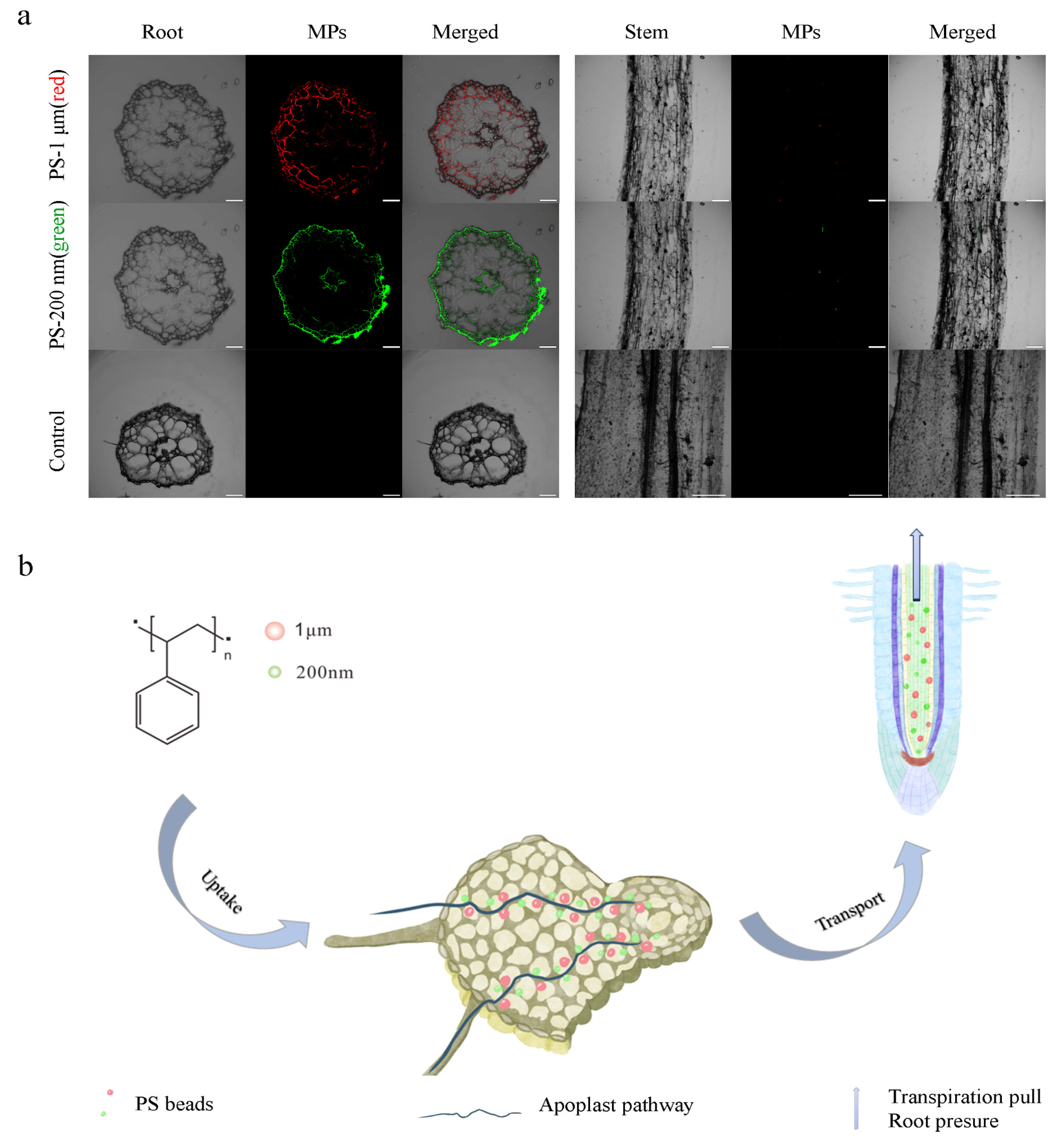 Agriculture 14 00301 g001