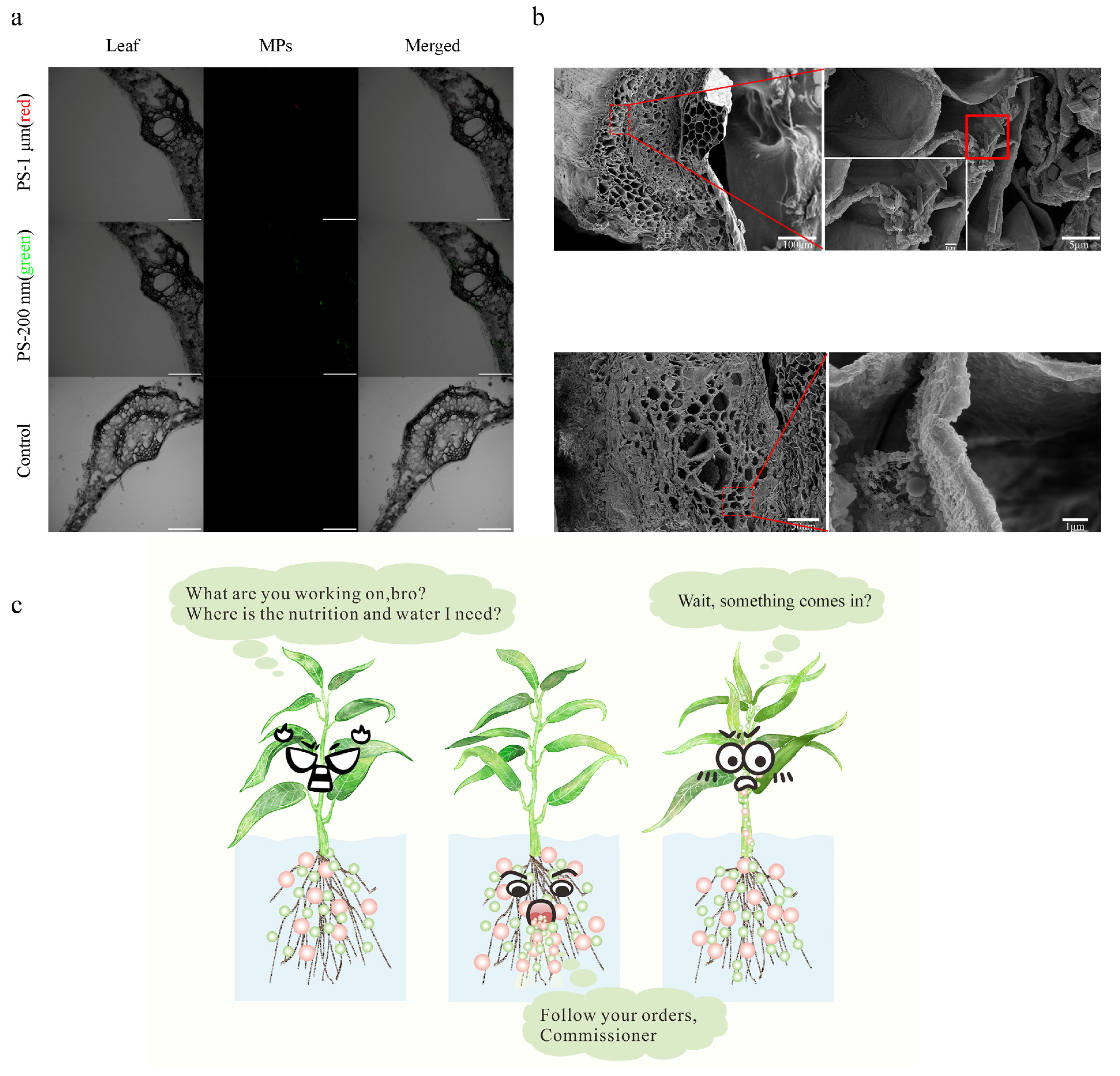 Agriculture 14 00301 g002