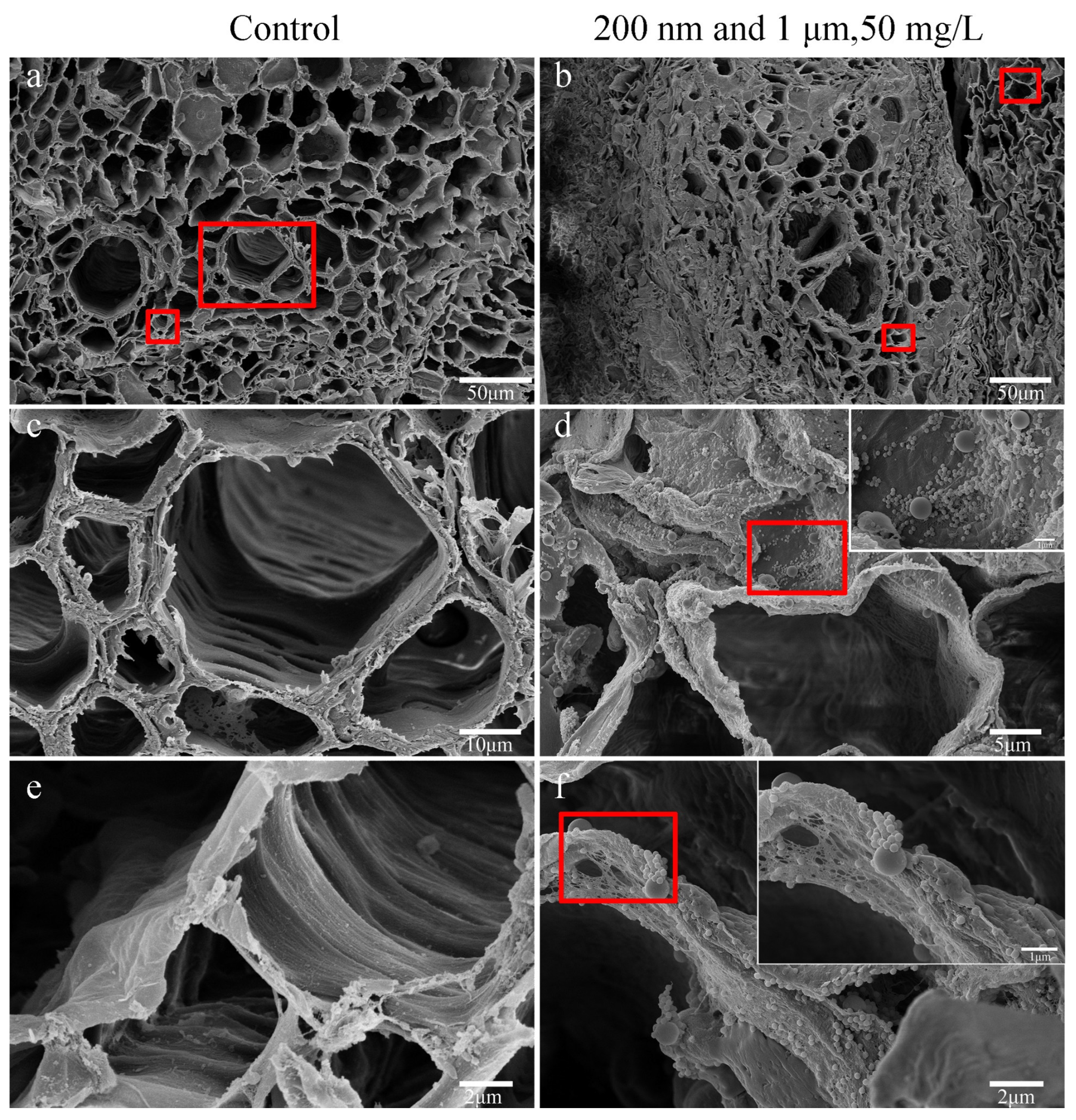 Agriculture 14 00301 g003