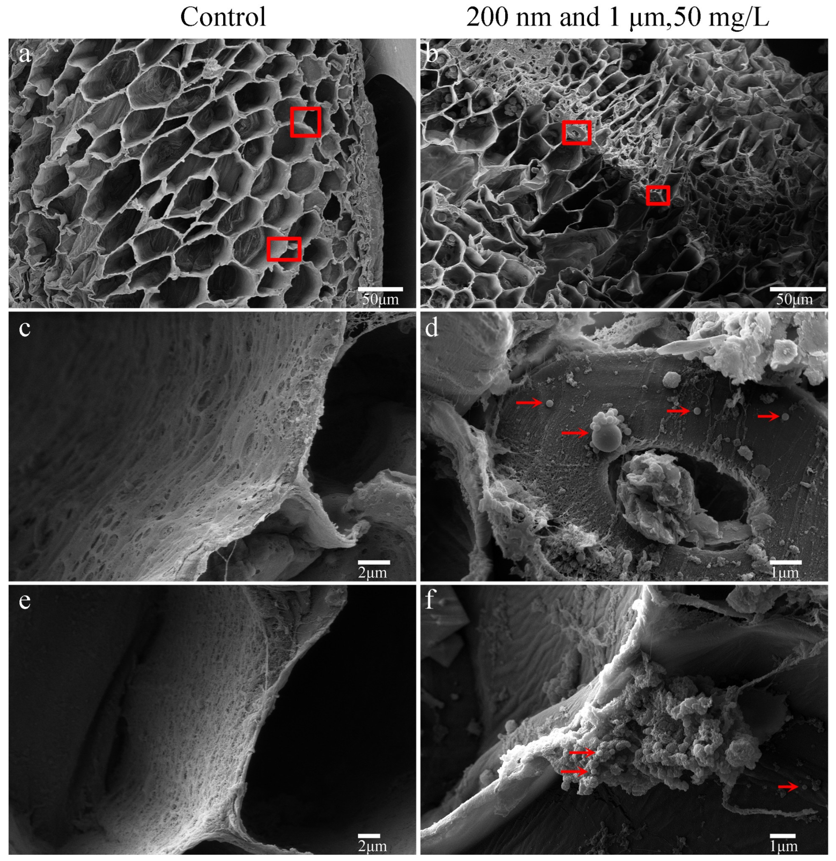 Agriculture 14 00301 g004