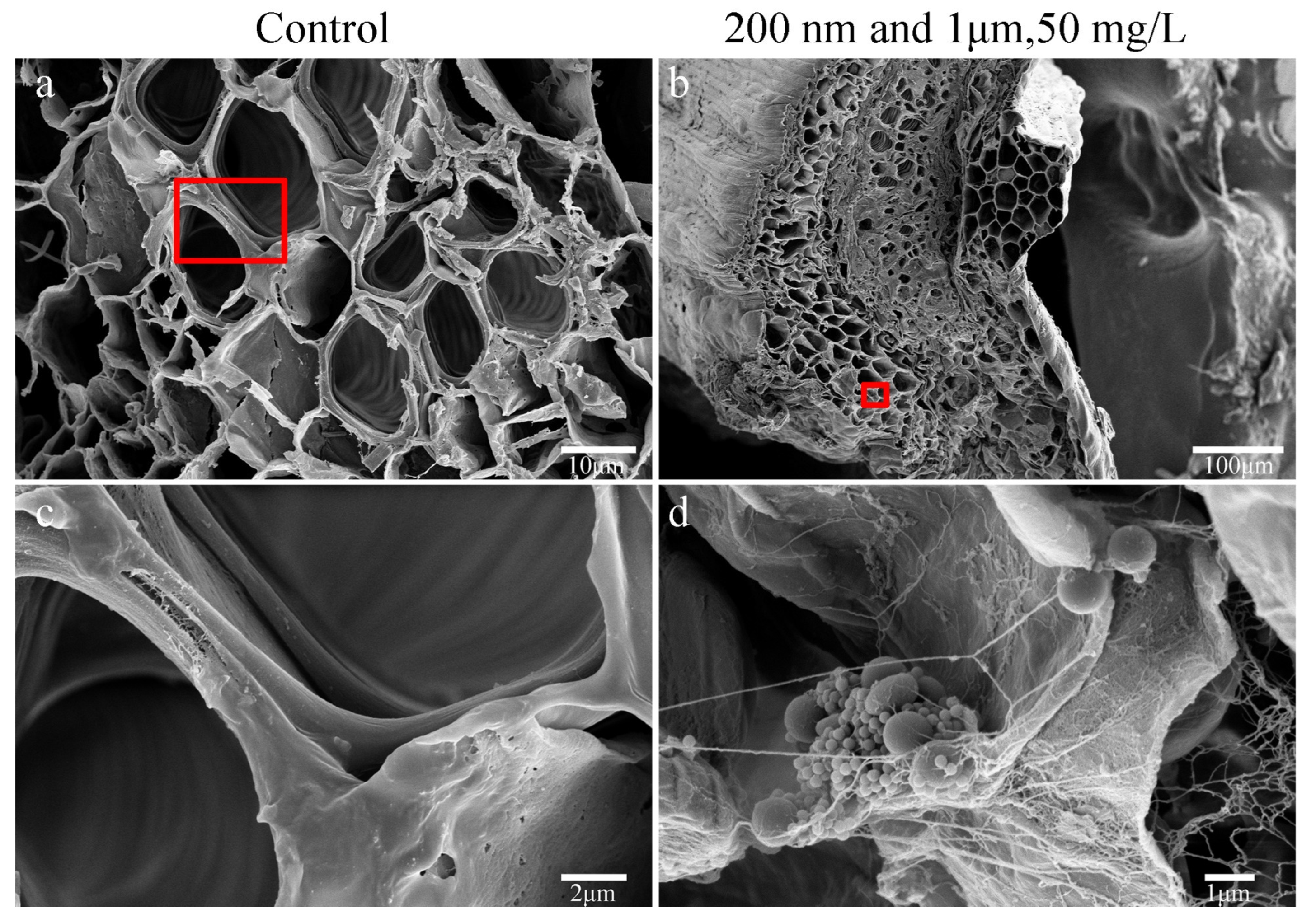 Agriculture 14 00301 g005