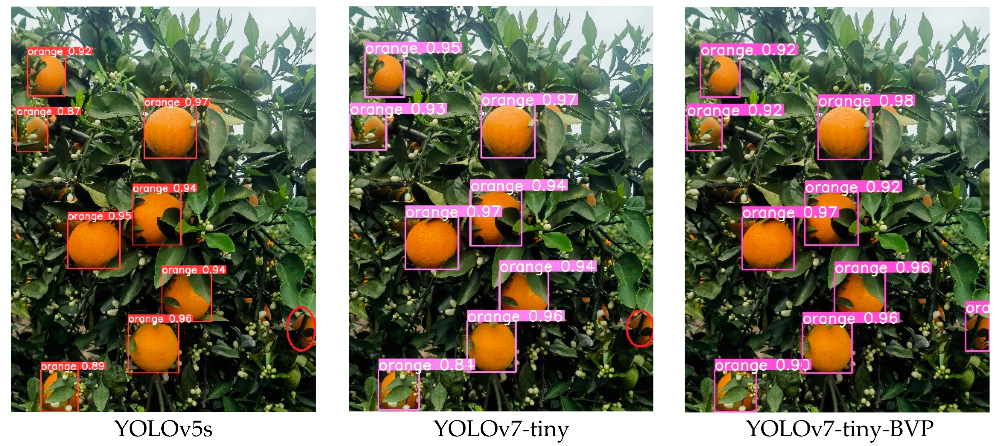 Agriculture 14 00303 g008