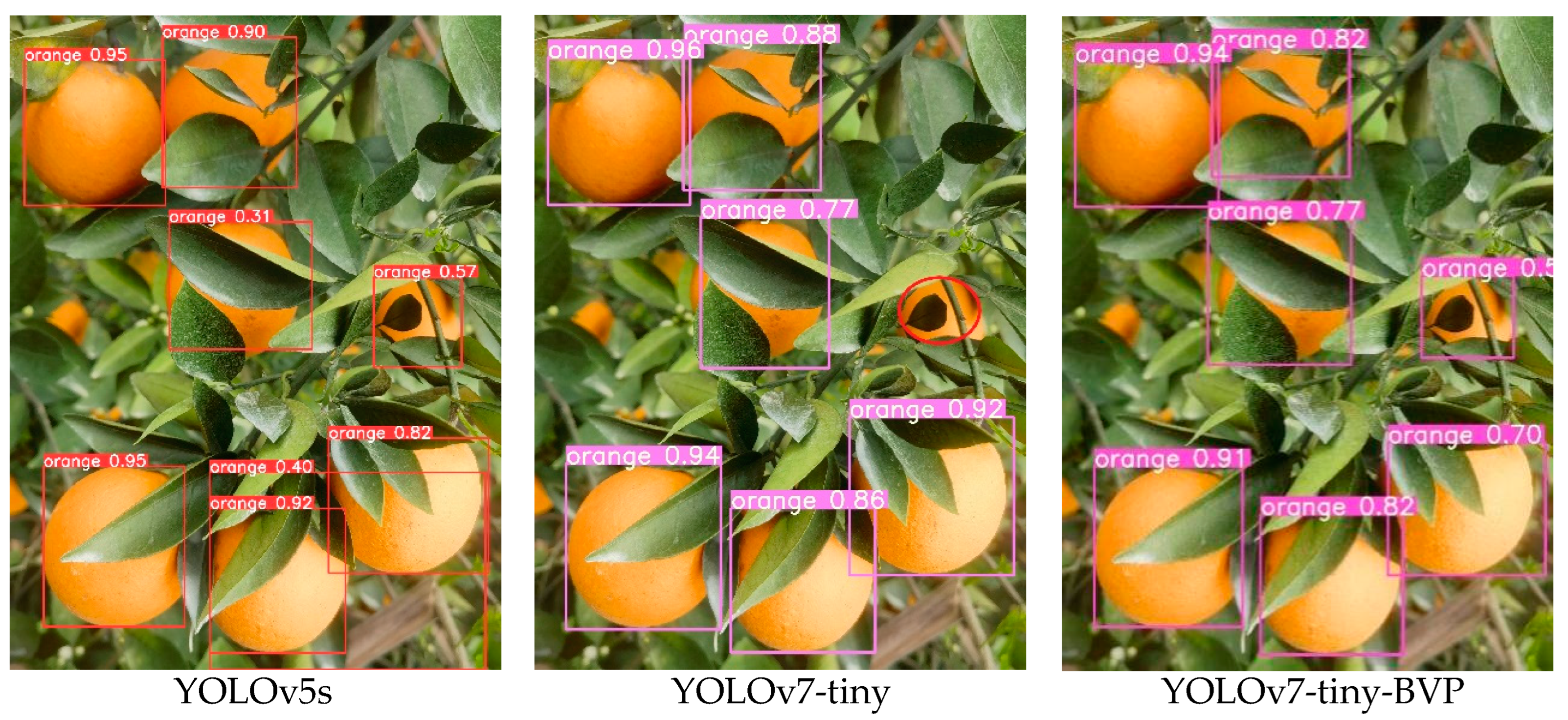 Agriculture 14 00303 g009