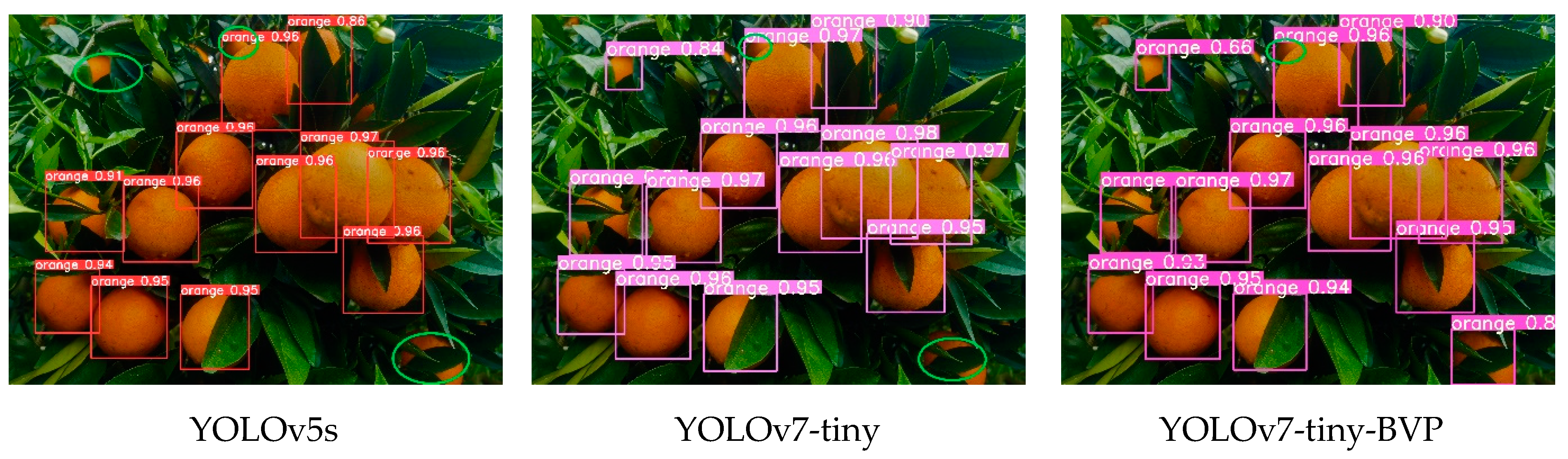 Agriculture 14 00303 g010