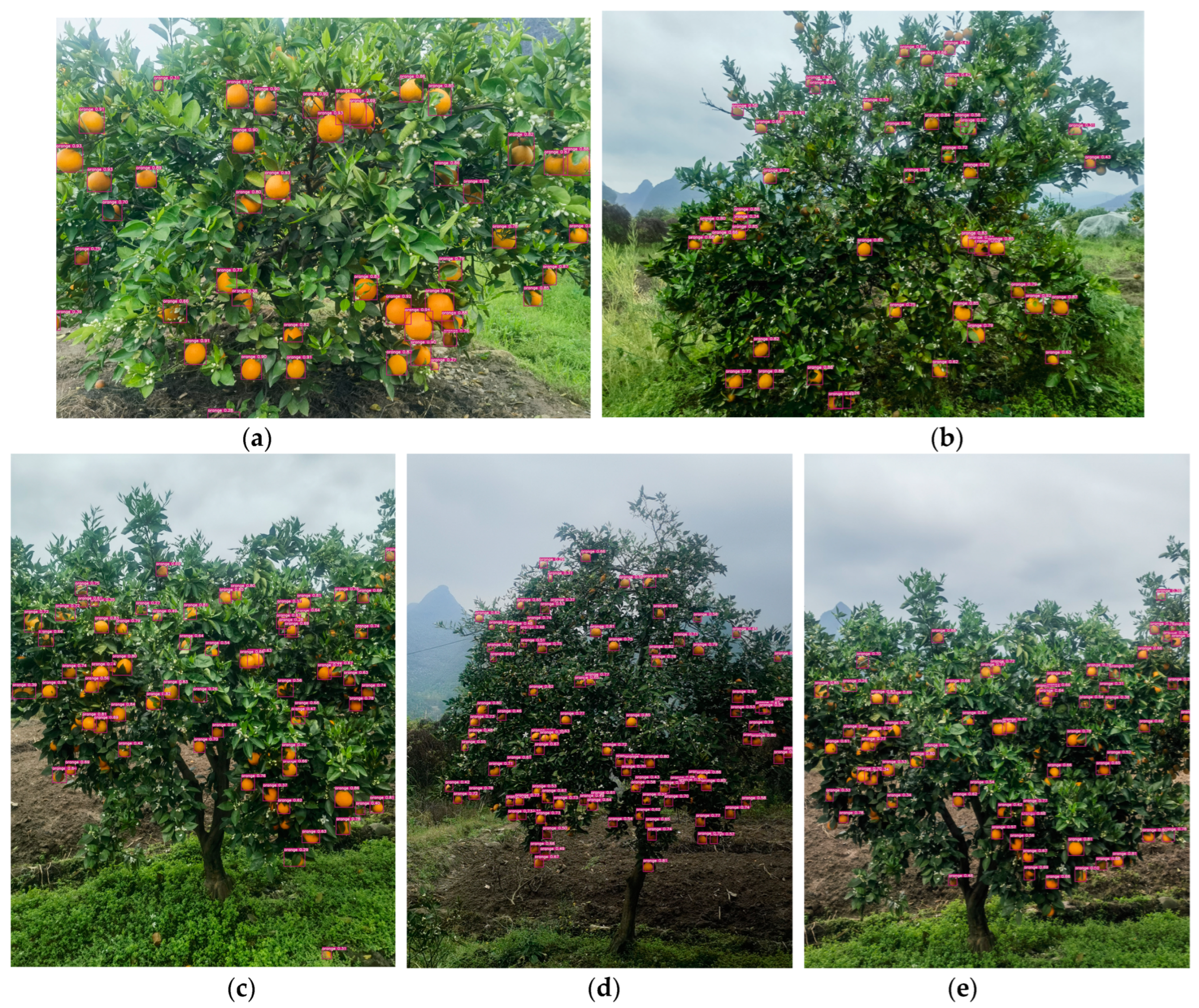 Agriculture 14 00303 g013