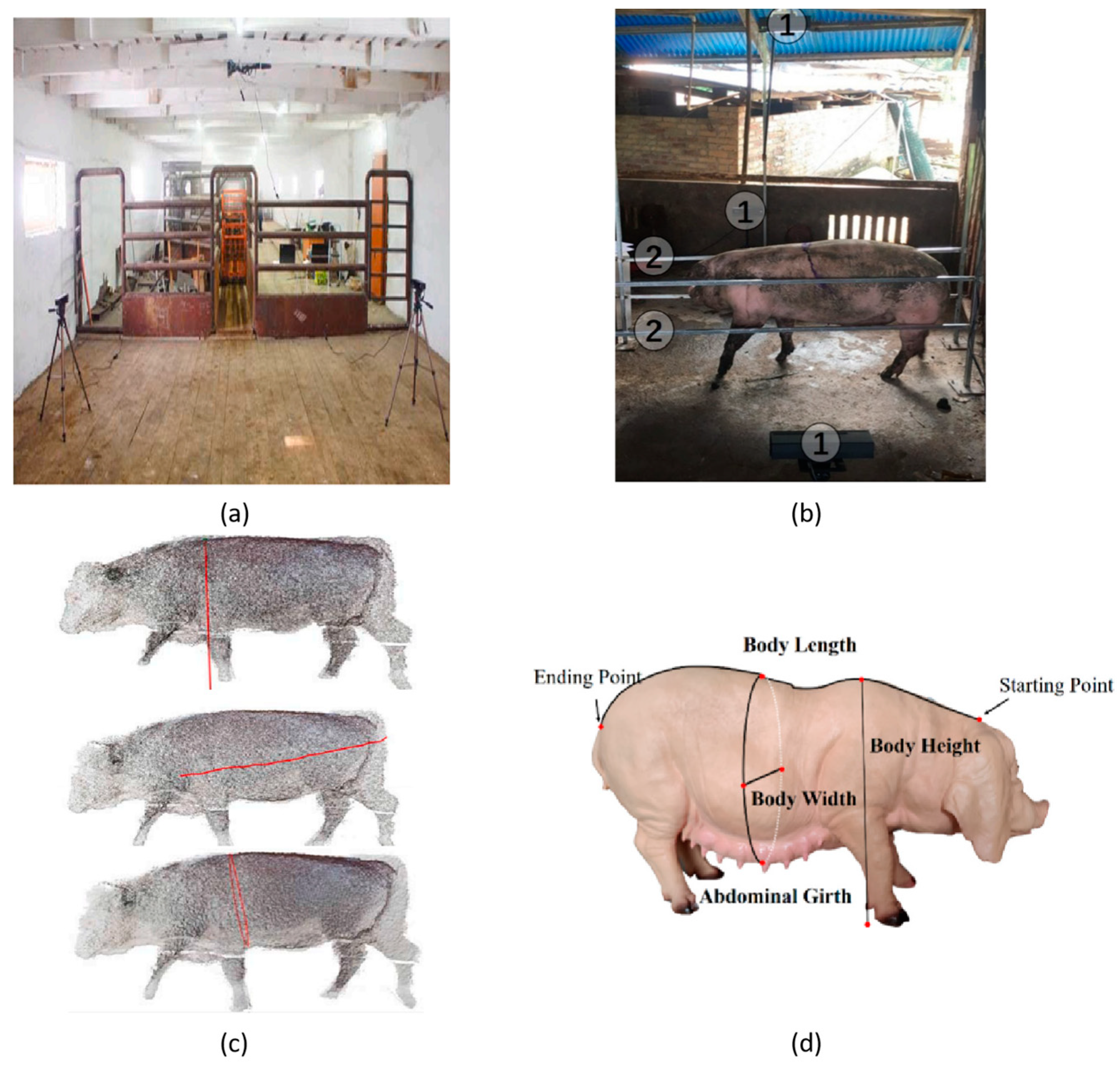 Agriculture 14 00306 g006 Agriculture 14 00306 g006