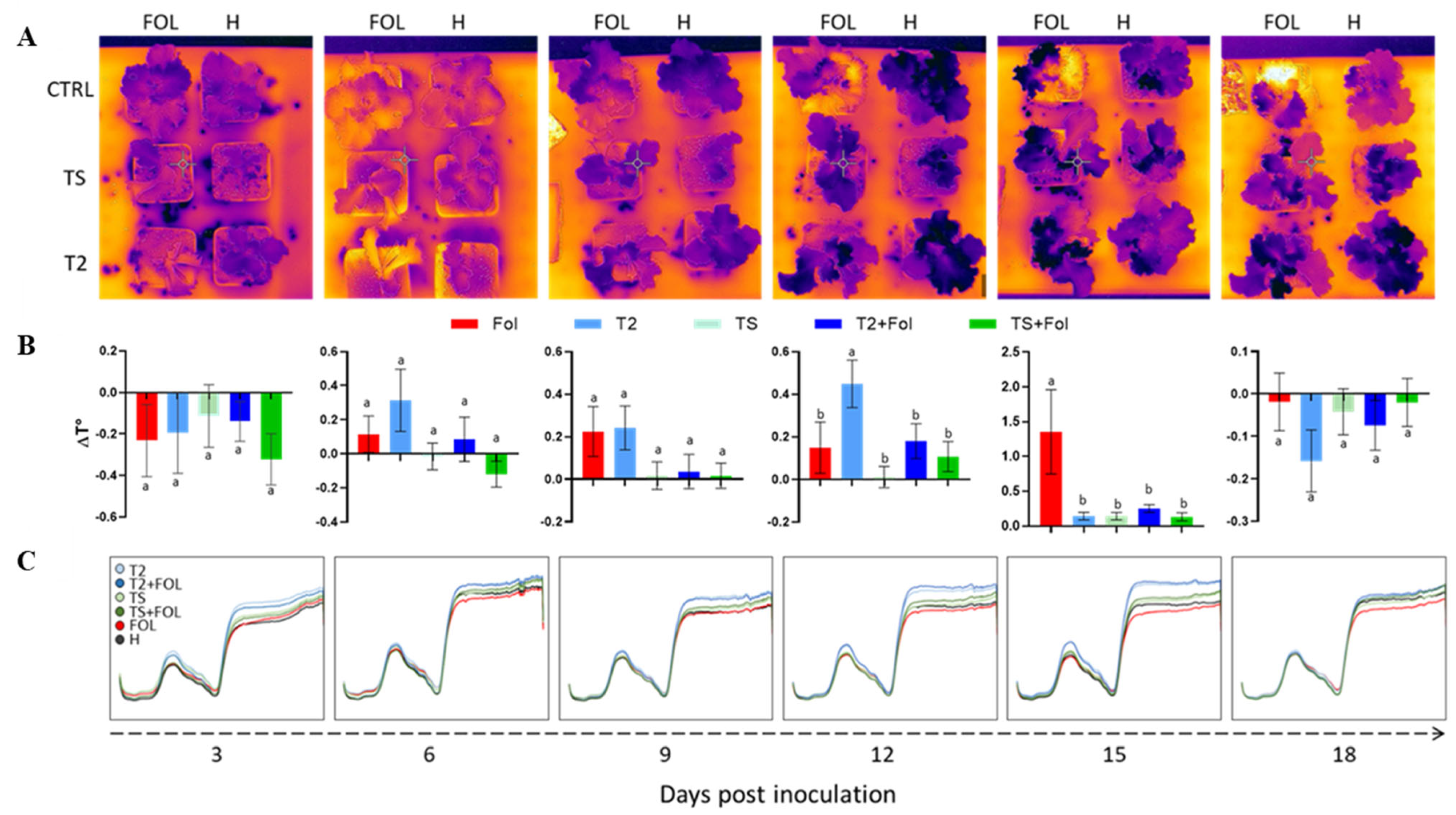 Agriculture 14 00307 g005