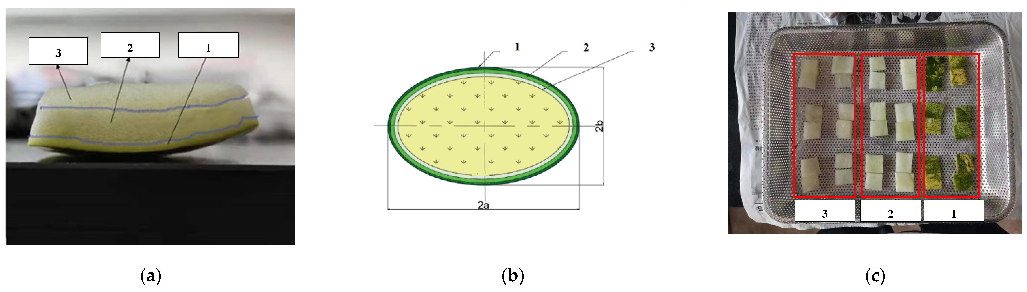 Agriculture 14 00308 g001