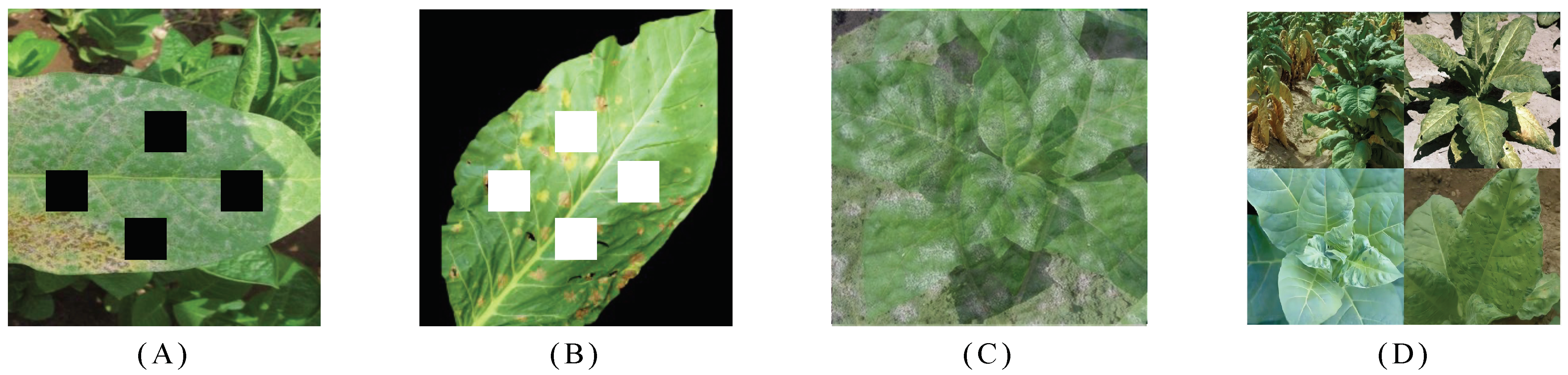 Agriculture 14 00318 g003