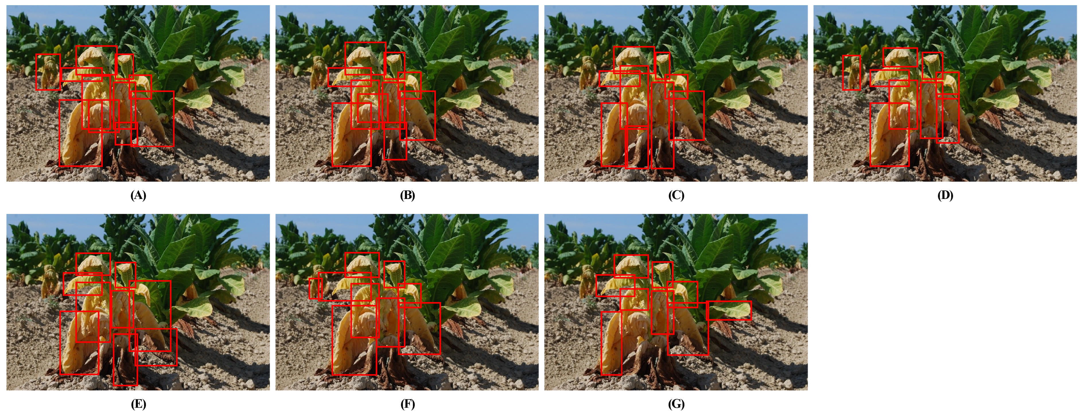 Agriculture 14 00318 g006