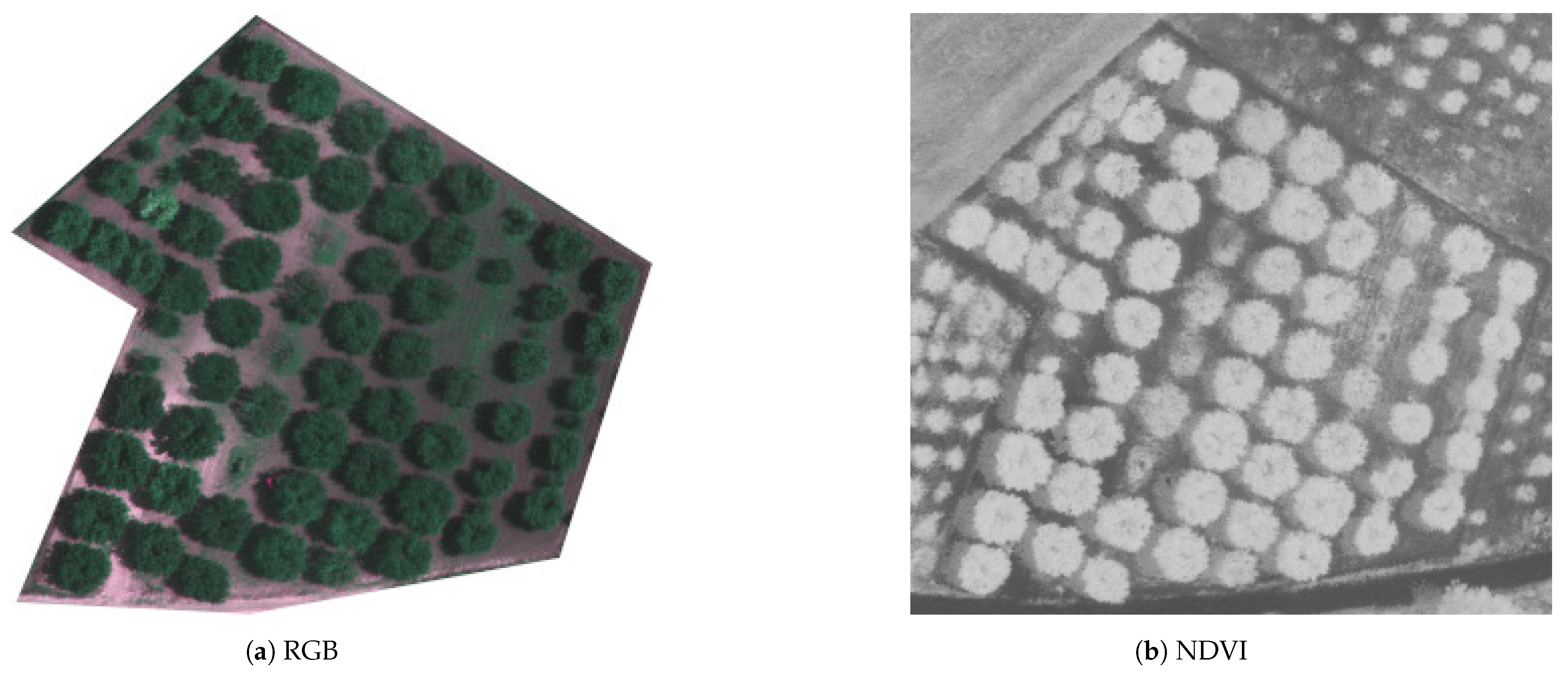 Agriculture 14 00322 g006