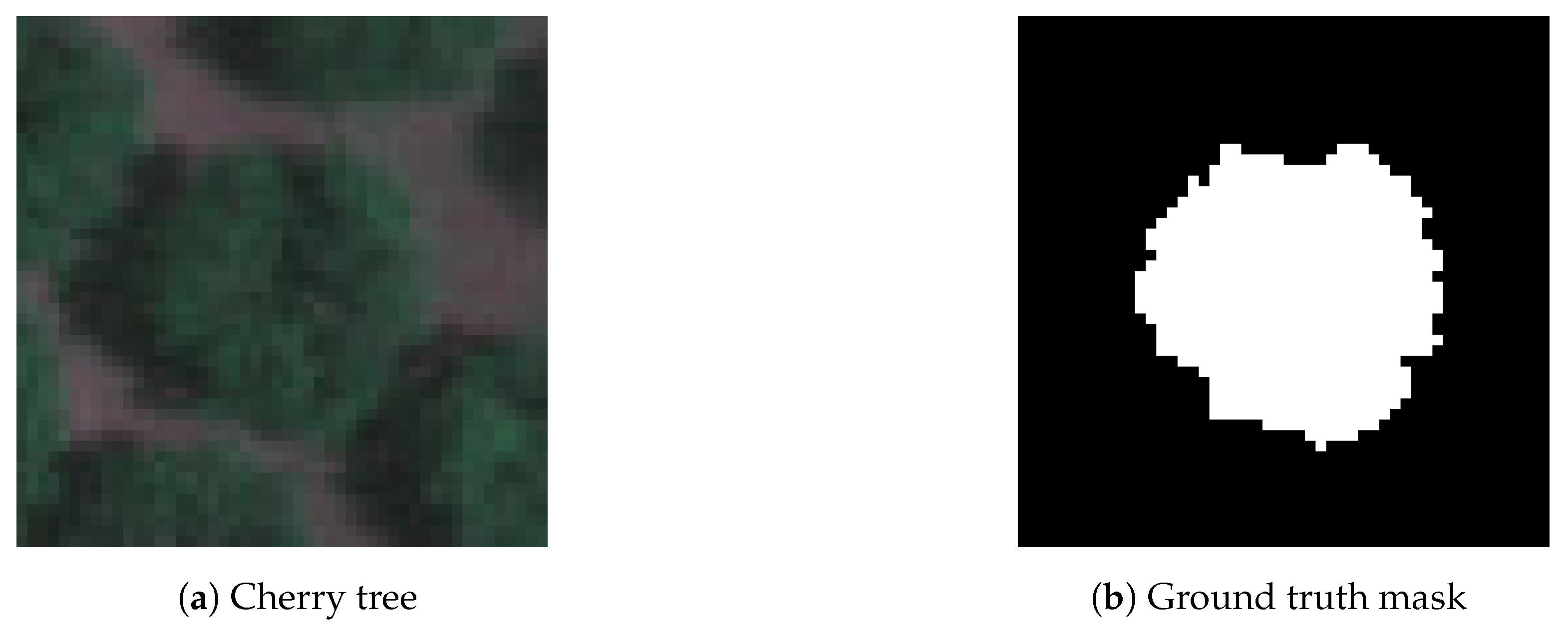 Agriculture 14 00322 g010a