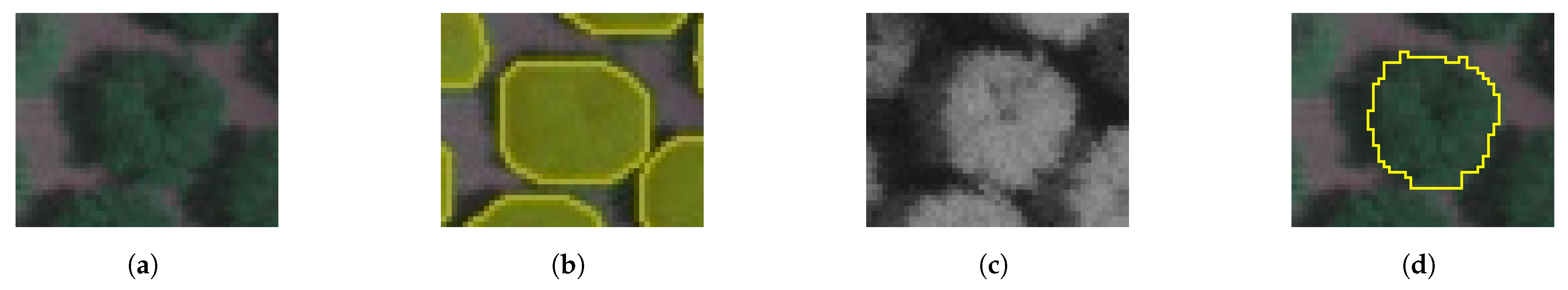 Agriculture 14 00322 g018