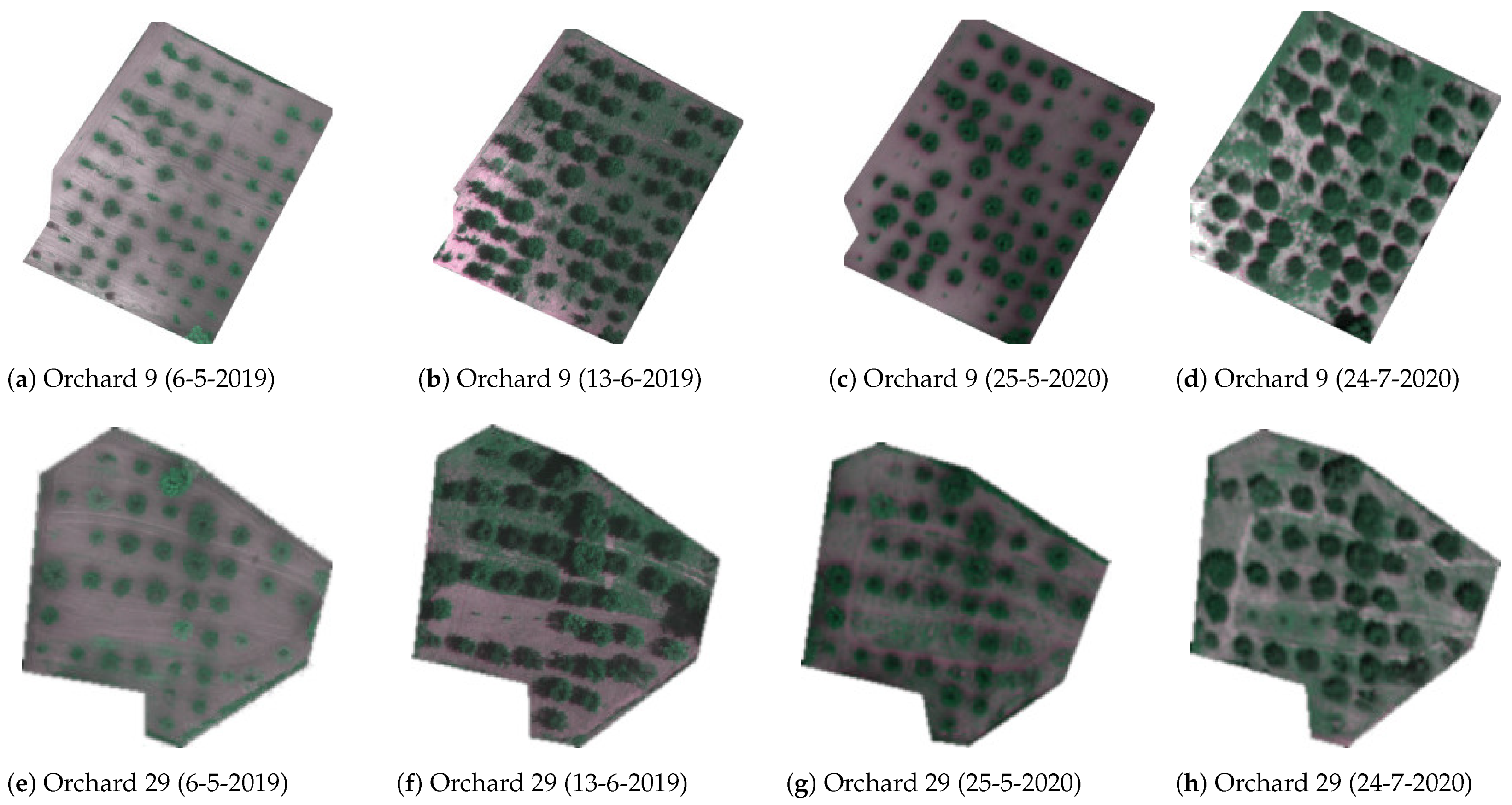 Agriculture 14 00322 g0a1a