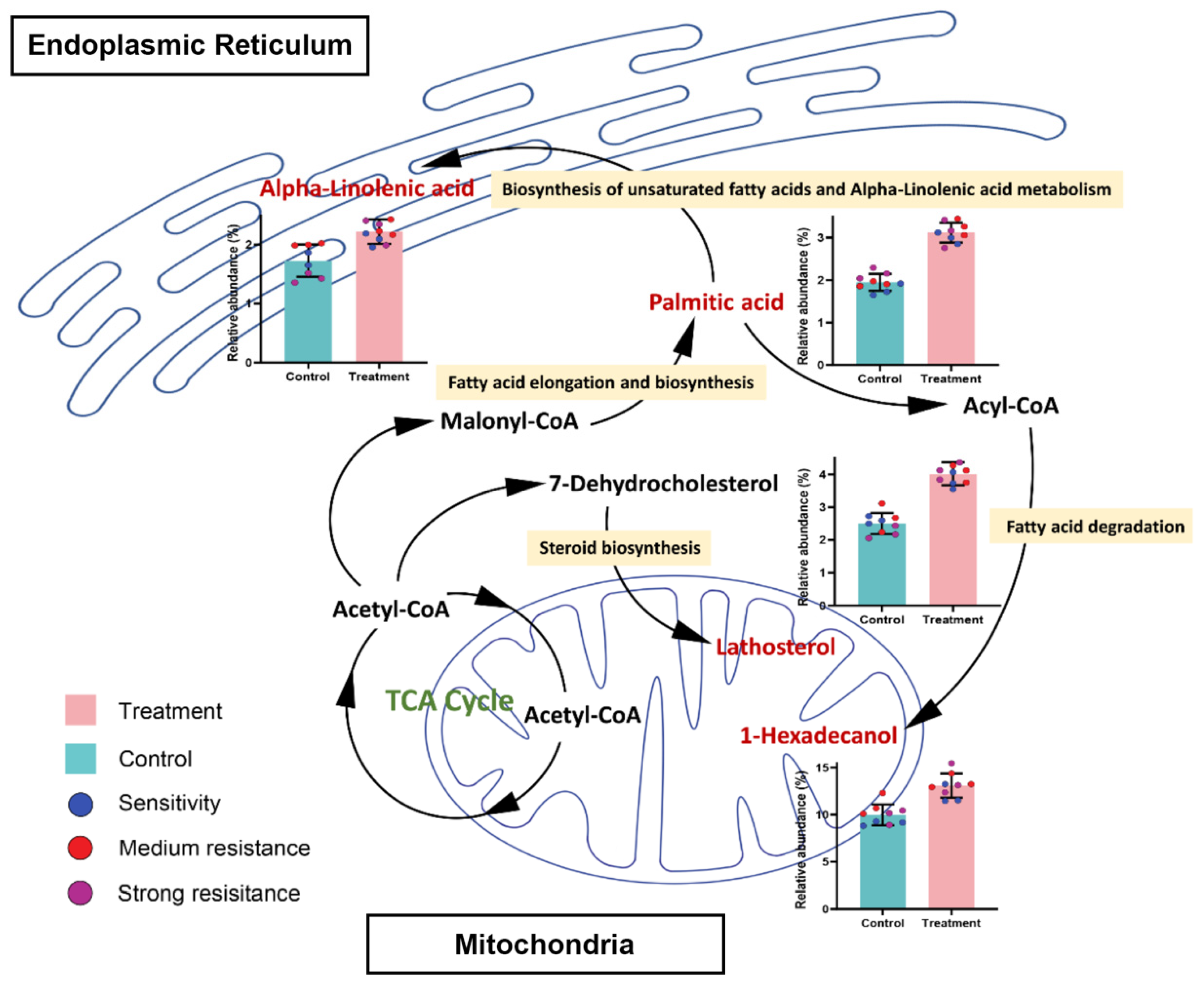 Agriculture 14 00323 g008