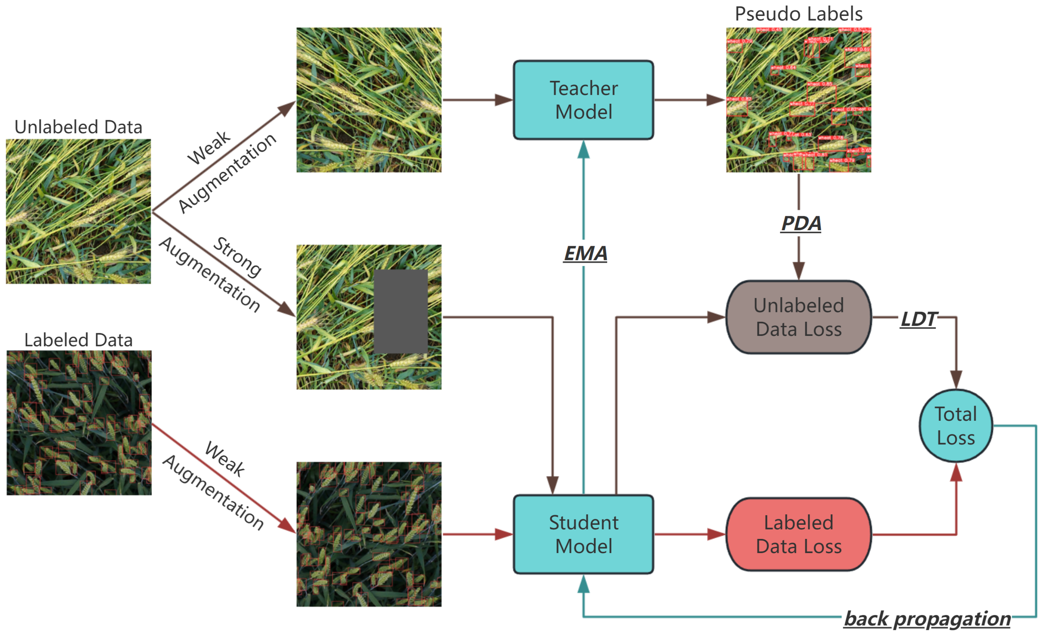 Agriculture 14 00327 g001