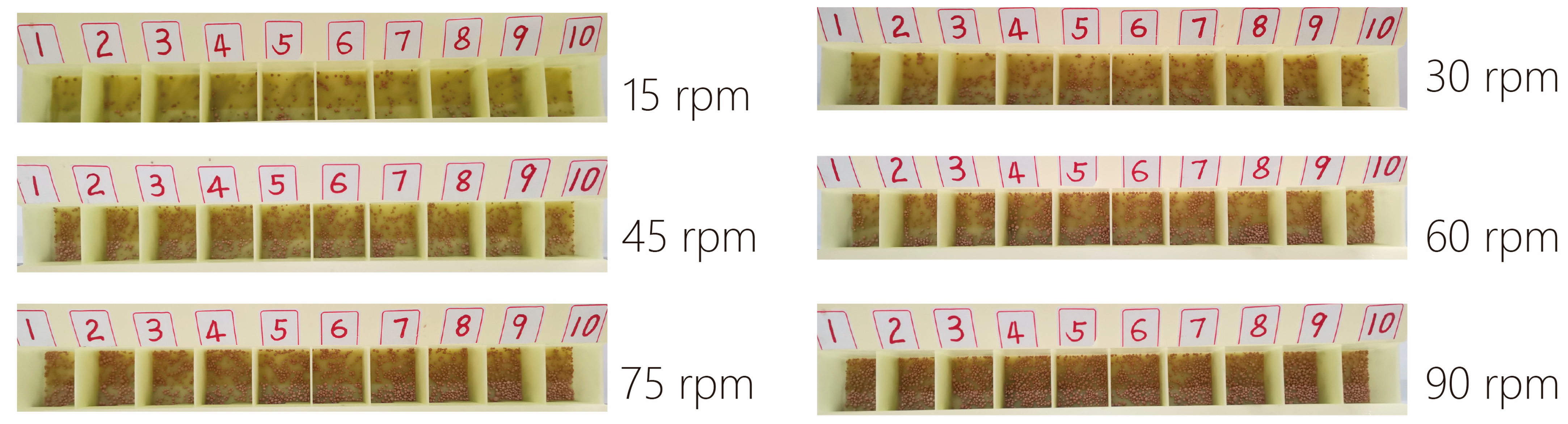 Agriculture 14 00329 g015