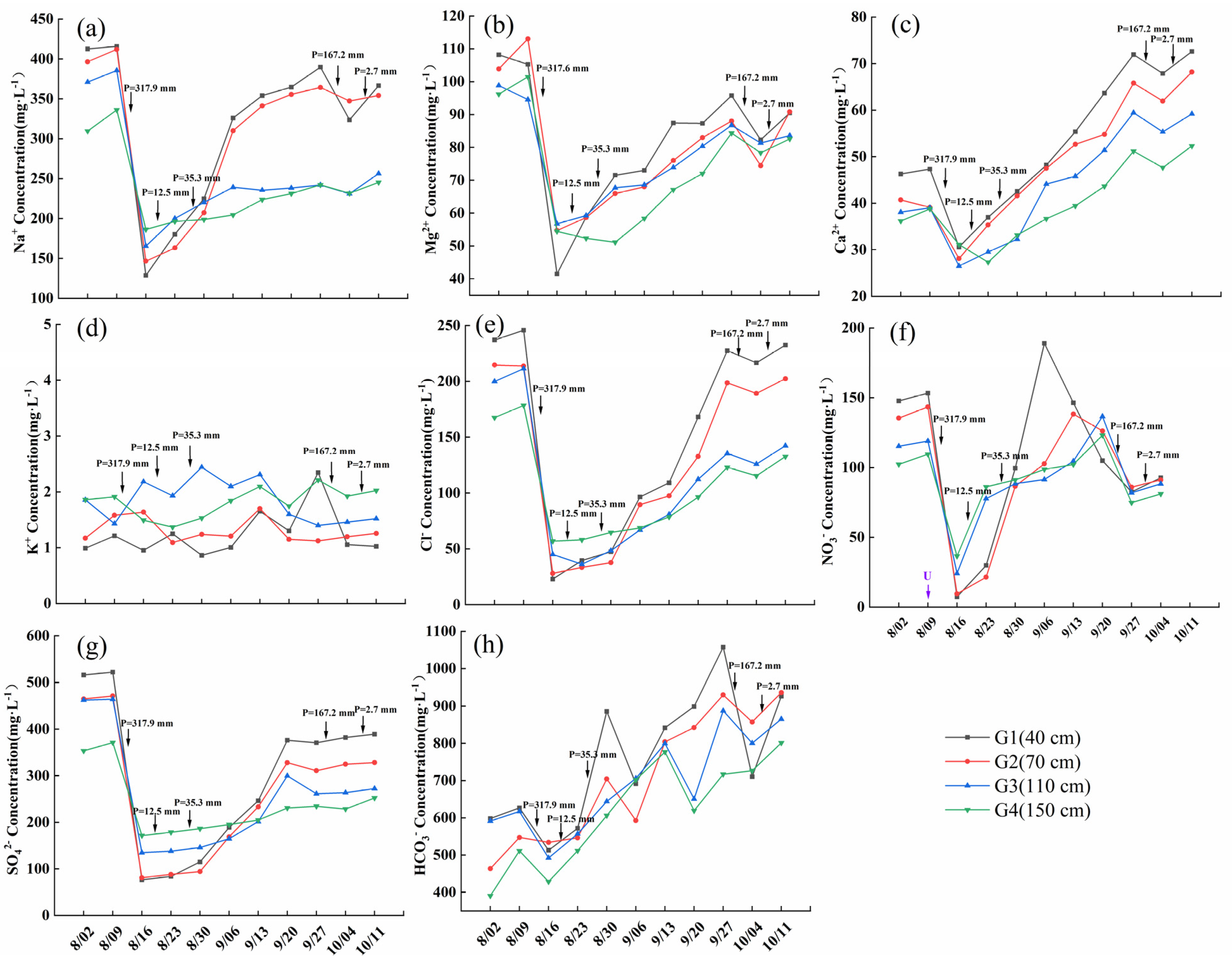 Agriculture 14 00341 g010