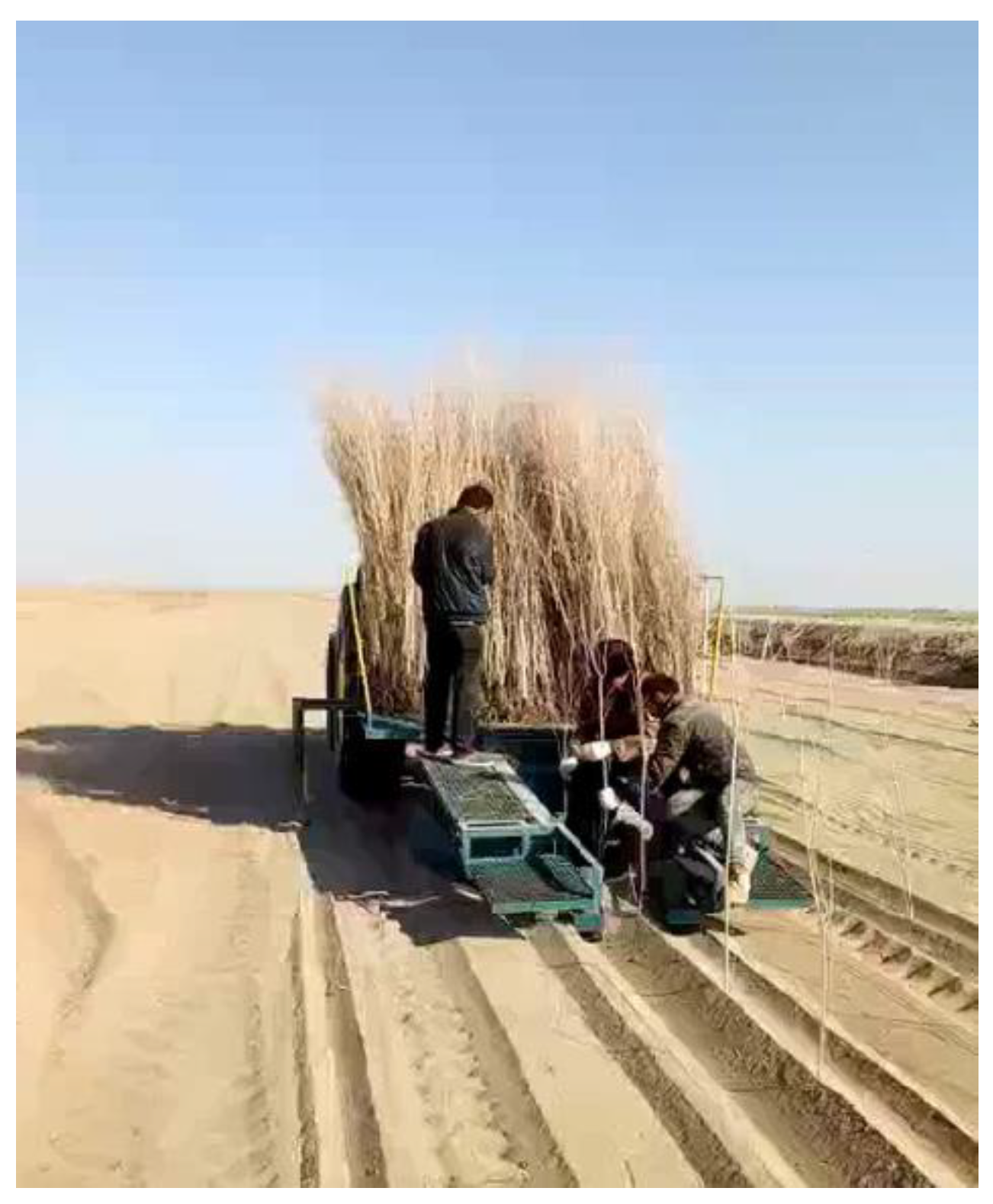 Agriculture 14 00346 g008