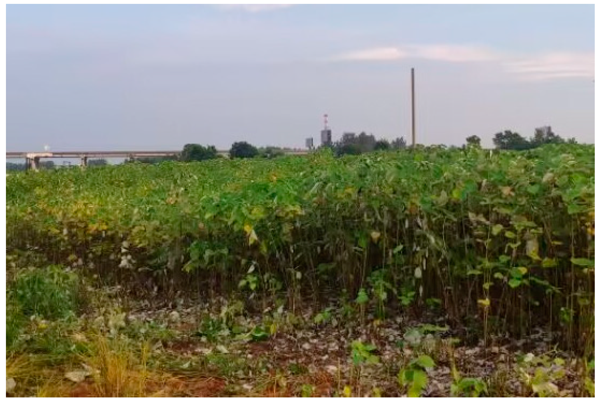 Agriculture 14 00355 g001