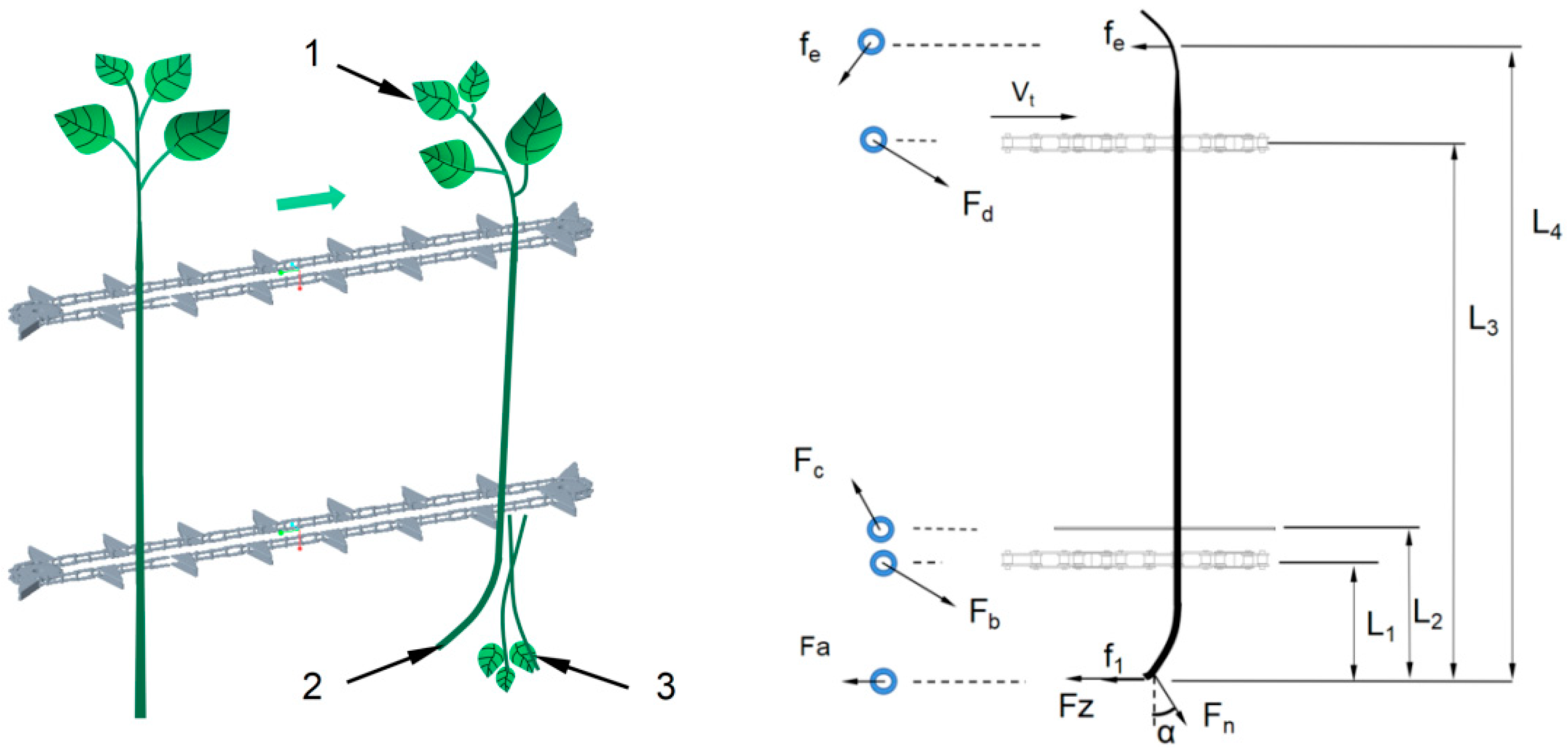 Agriculture 14 00355 g010