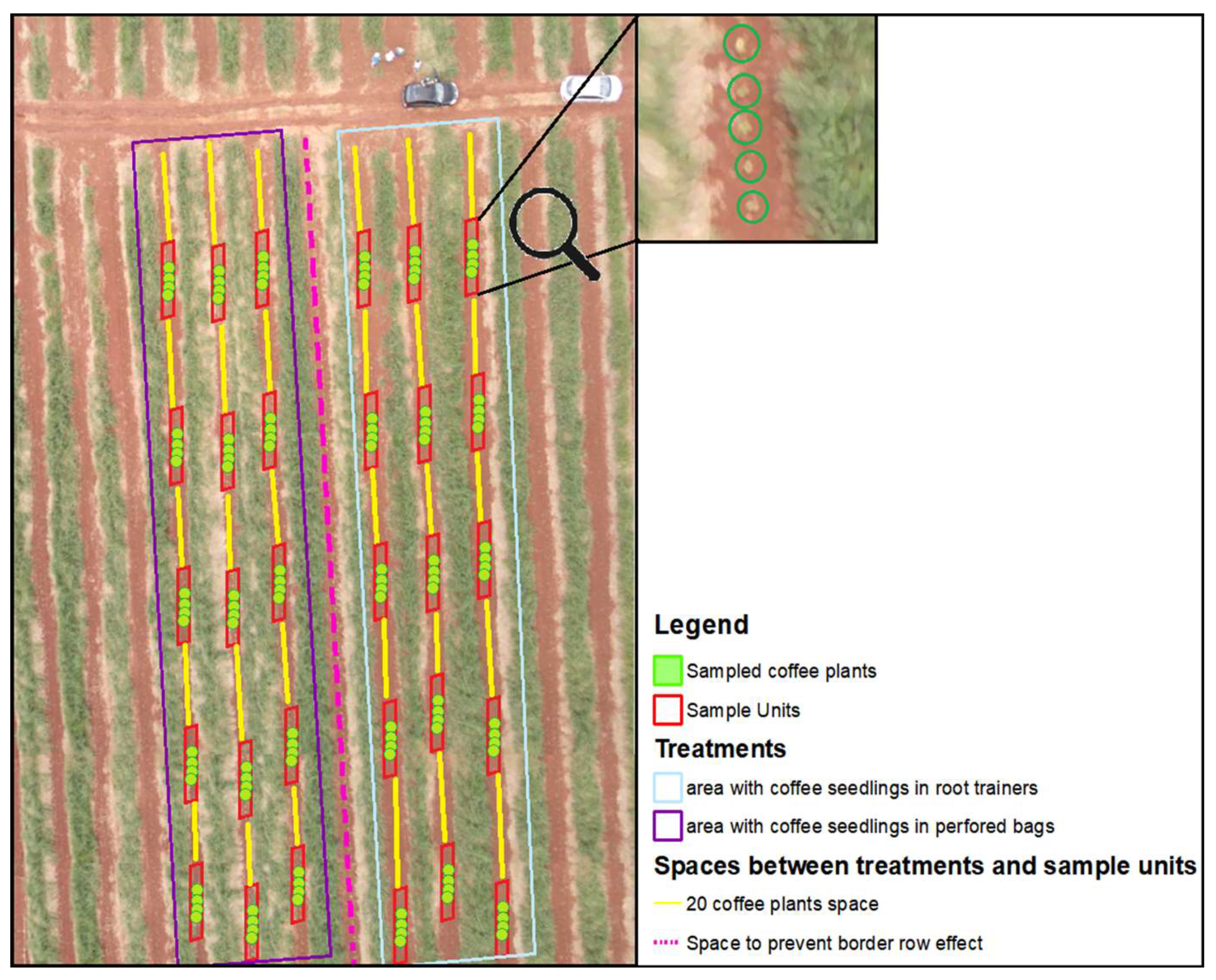 Agriculture 14 00356 g003
