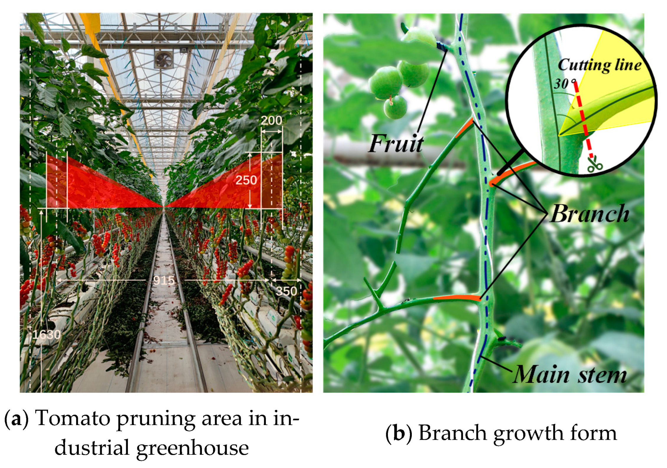 Agriculture 14 00359 g002