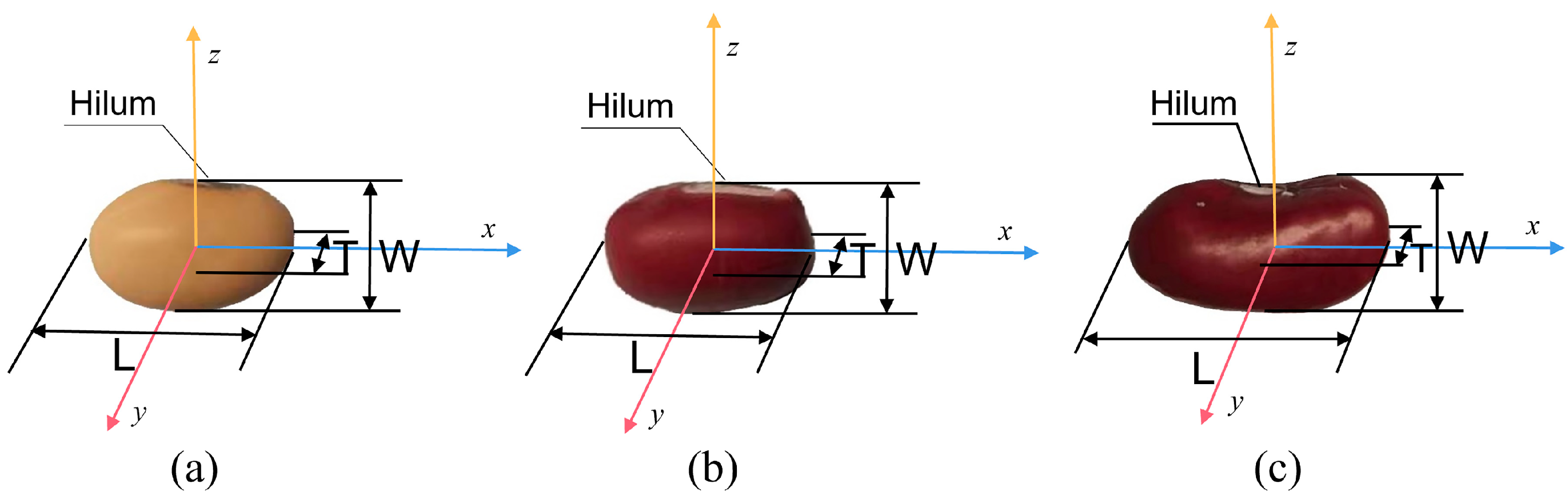 Agriculture 14 00376 g001