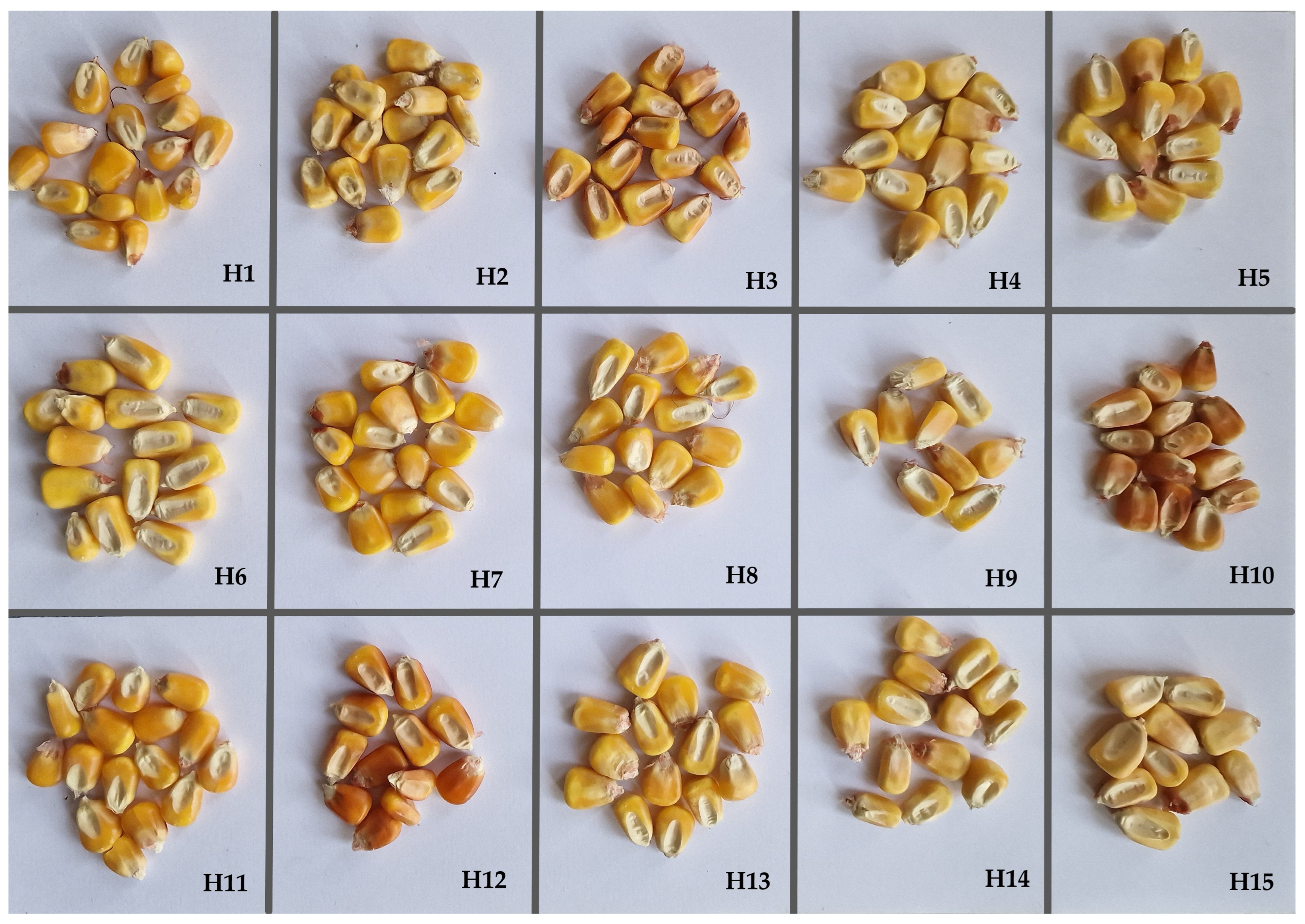 Agriculture 14 00384 g001