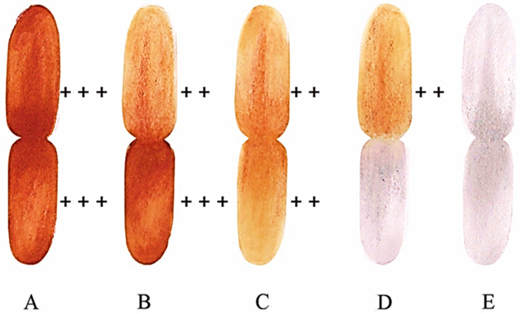 Agriculture 14 00385 g001 Agriculture 14 00385 g001