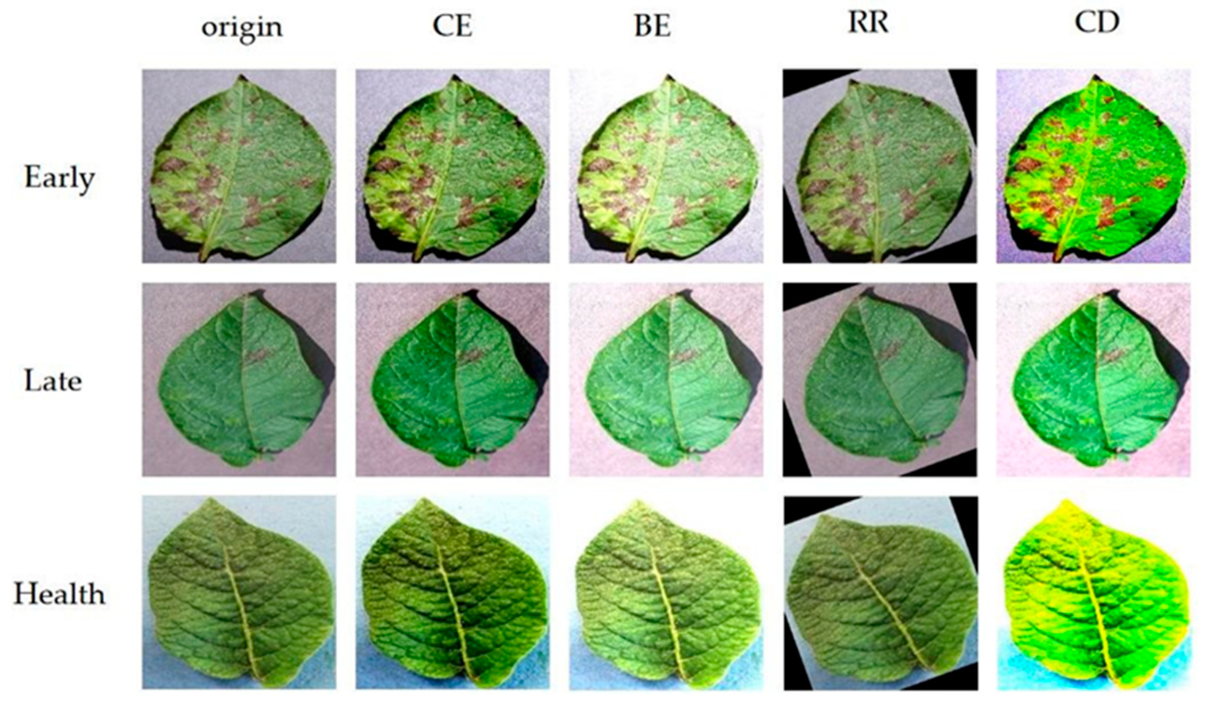 Agriculture 14 00386 g001
