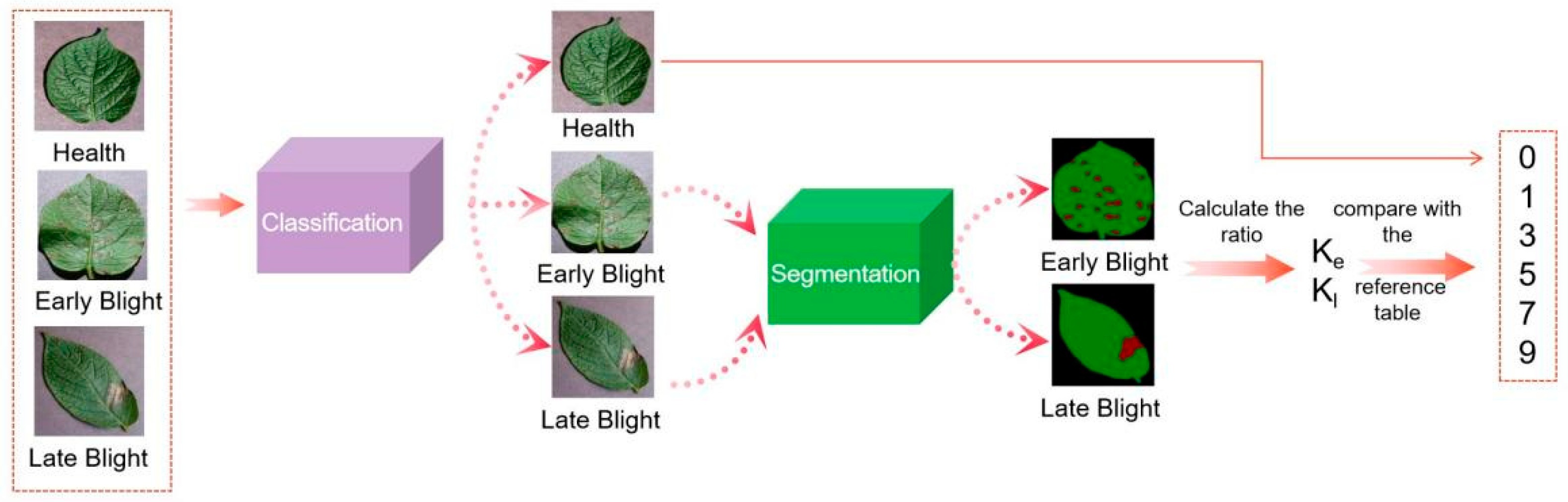 Agriculture 14 00386 g002
