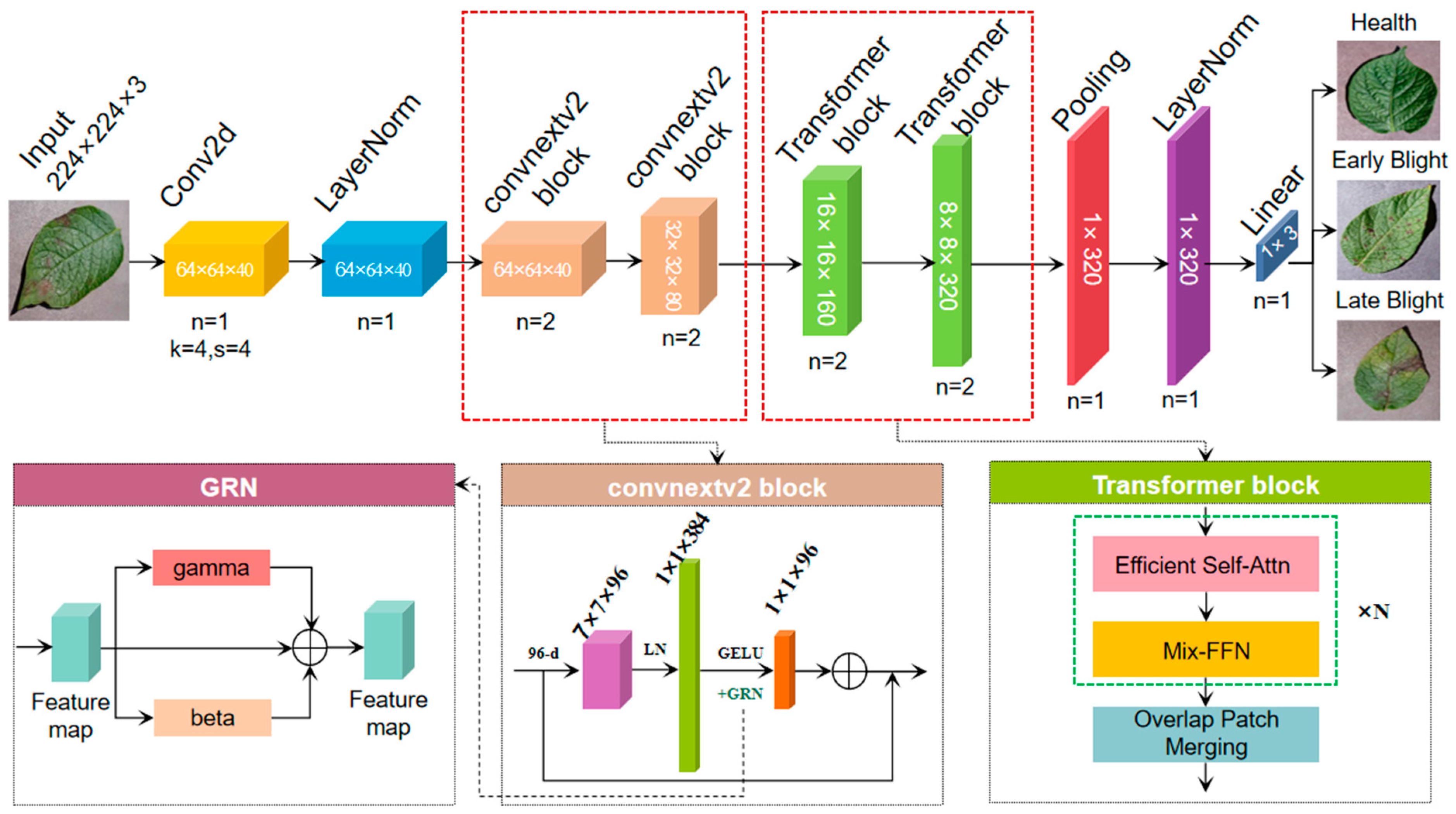 Agriculture 14 00386 g003