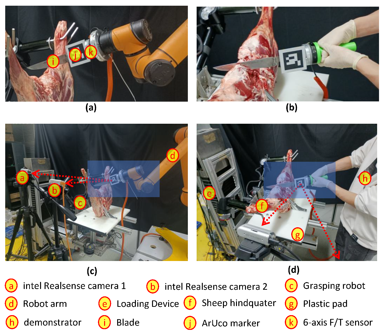 Agriculture 14 00394 g002