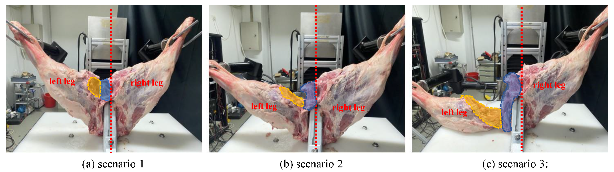 Agriculture 14 00394 g007