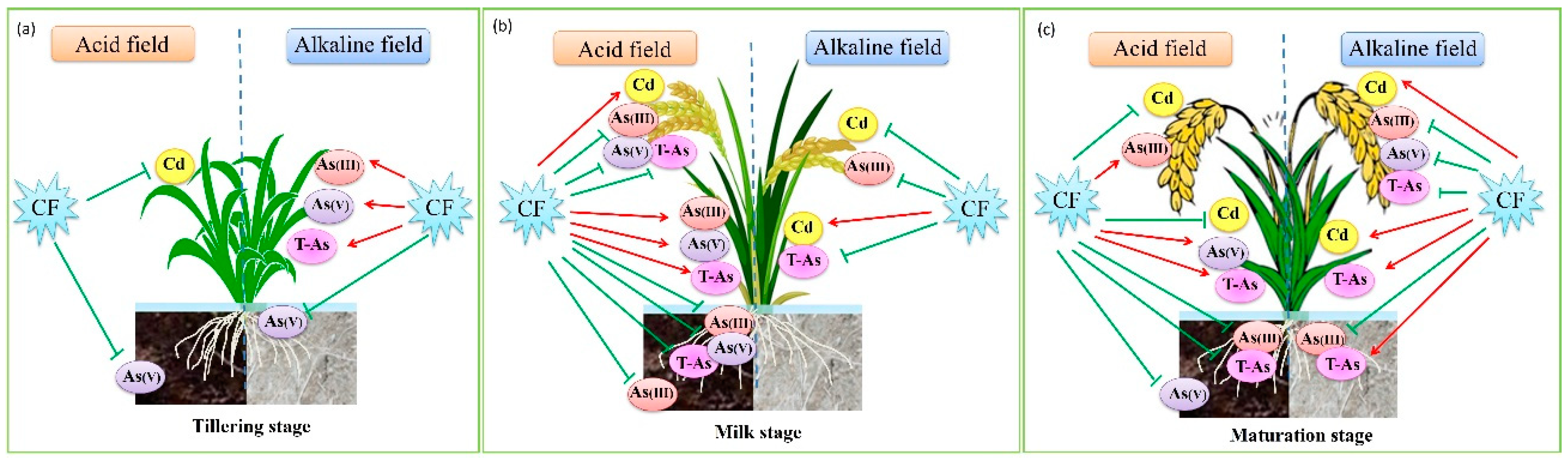 Agriculture 14 00407 g005 Agriculture 14 00407 g005