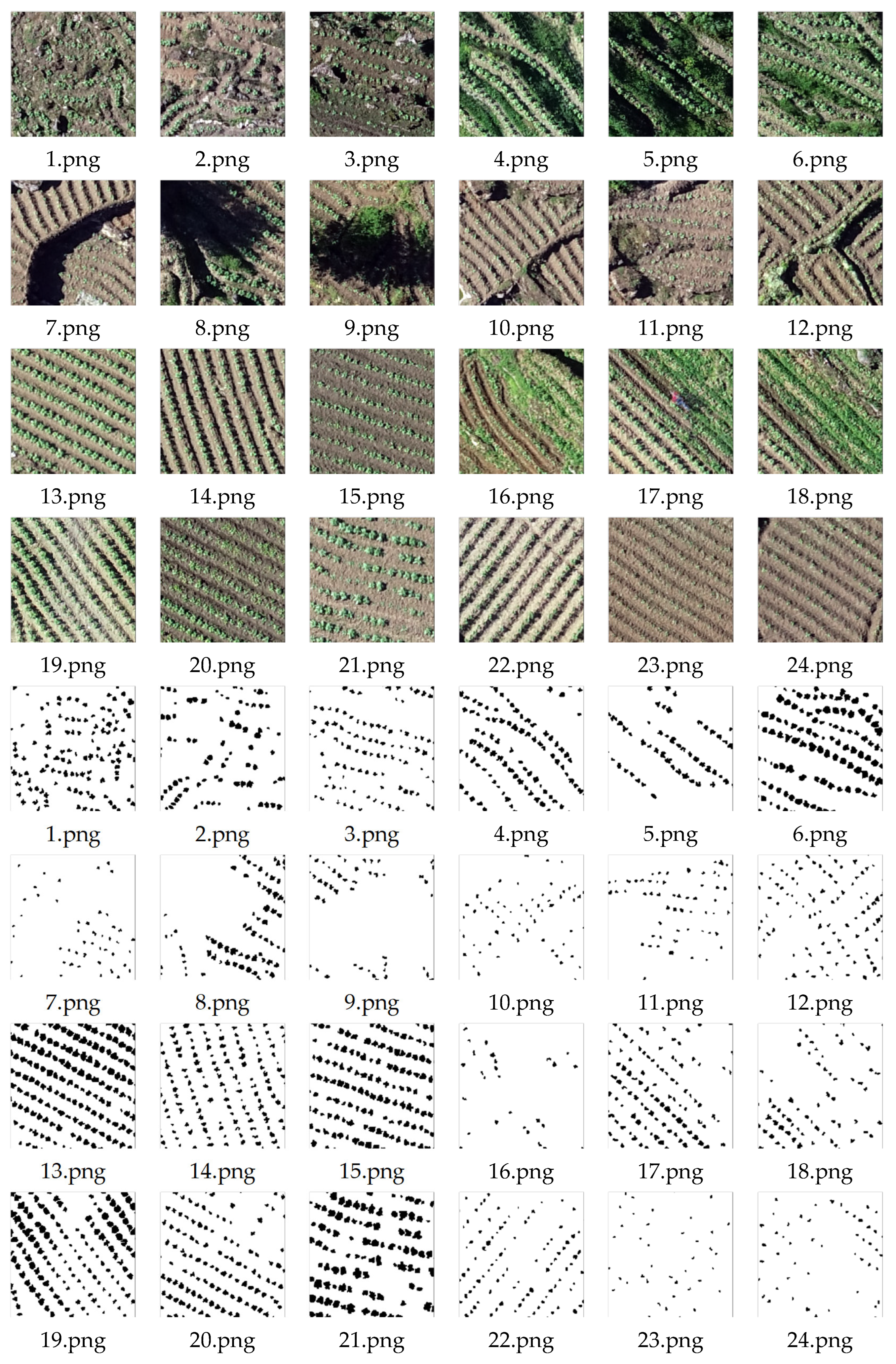 Agriculture 14 00411 g005