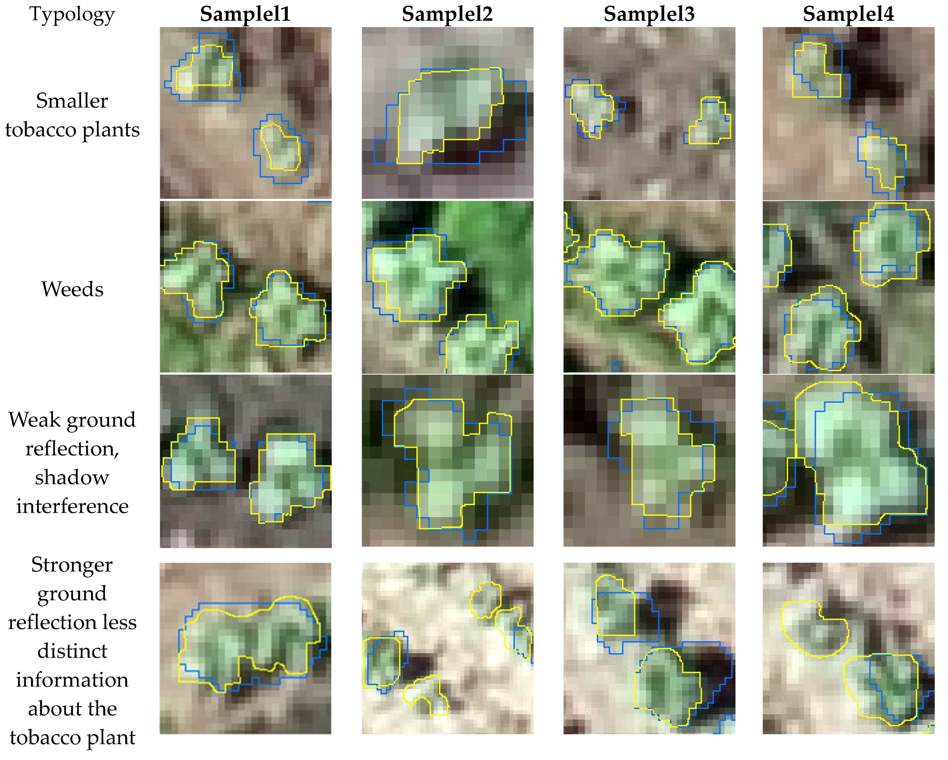 Agriculture 14 00411 g006