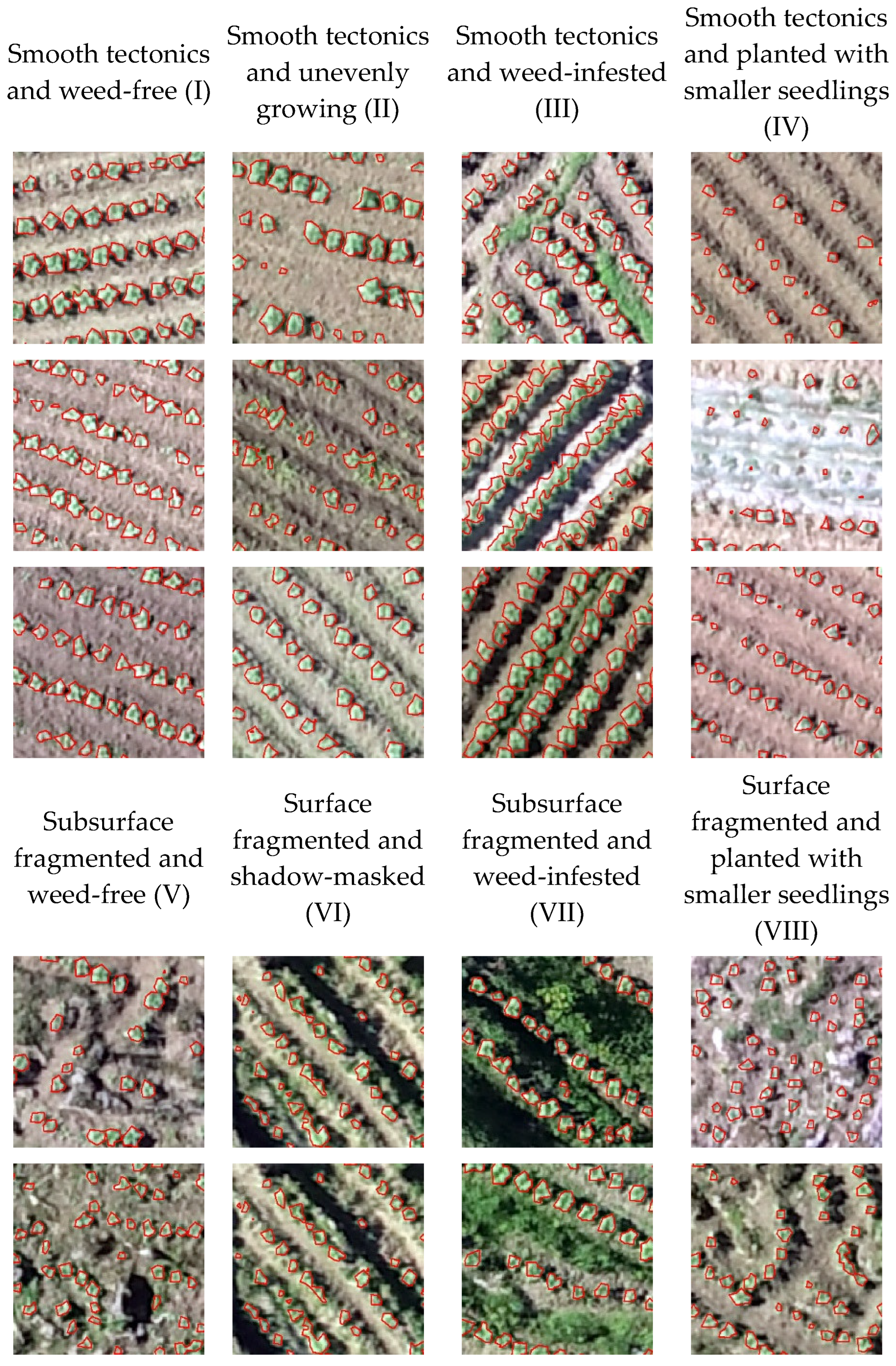Agriculture 14 00411 g008