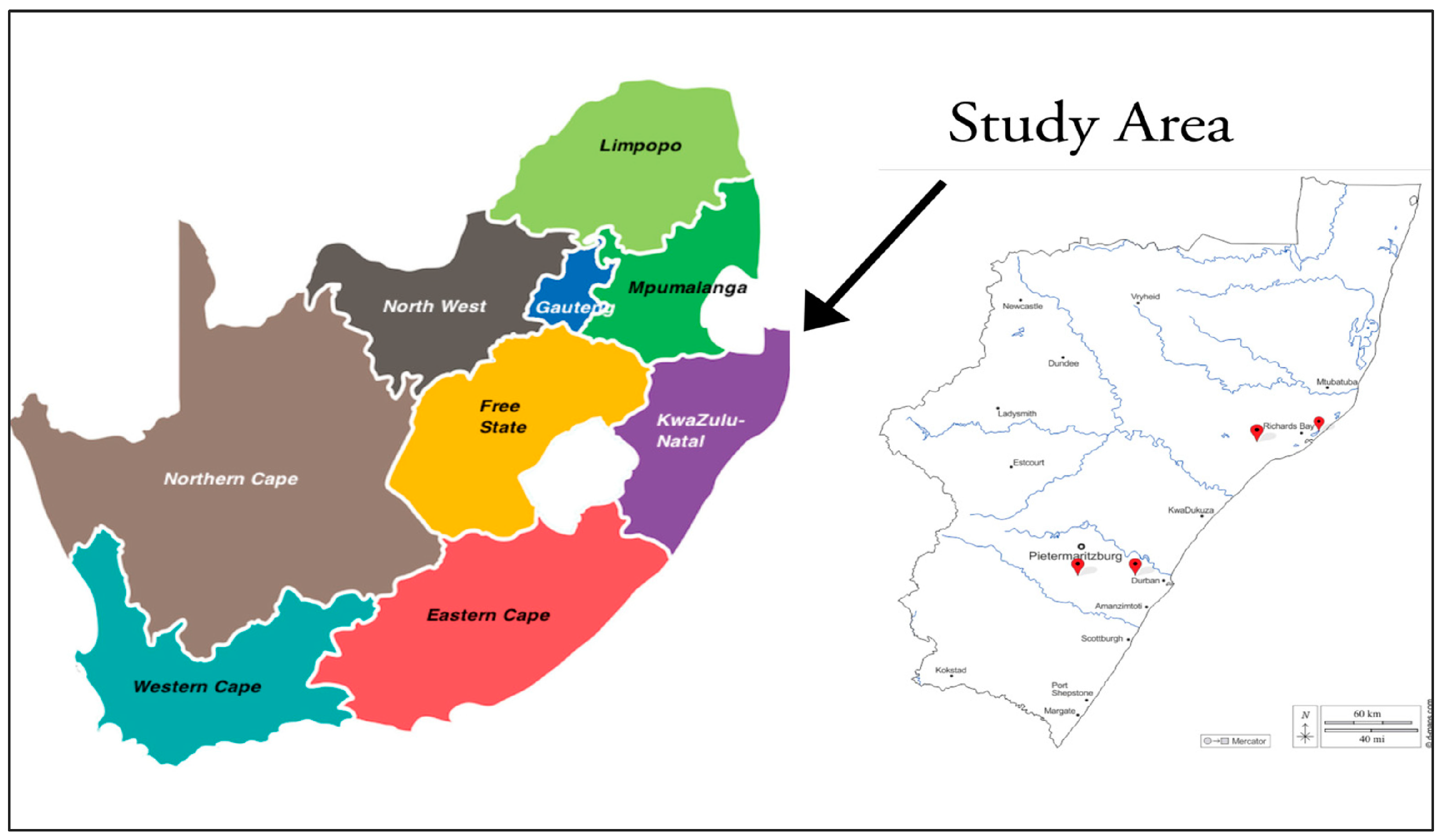 Agriculture 14 00415 g001