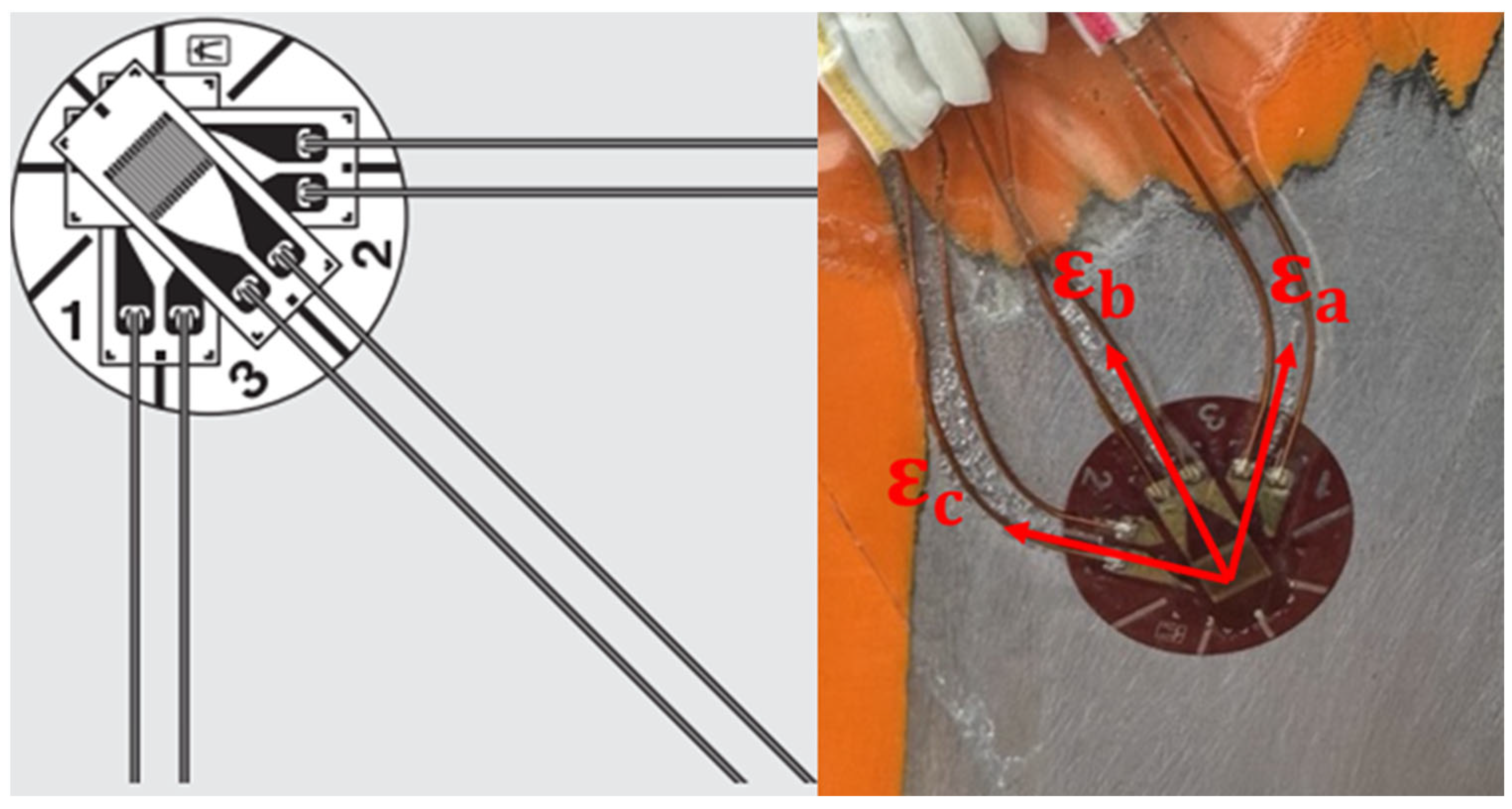 Agriculture 14 00416 g005