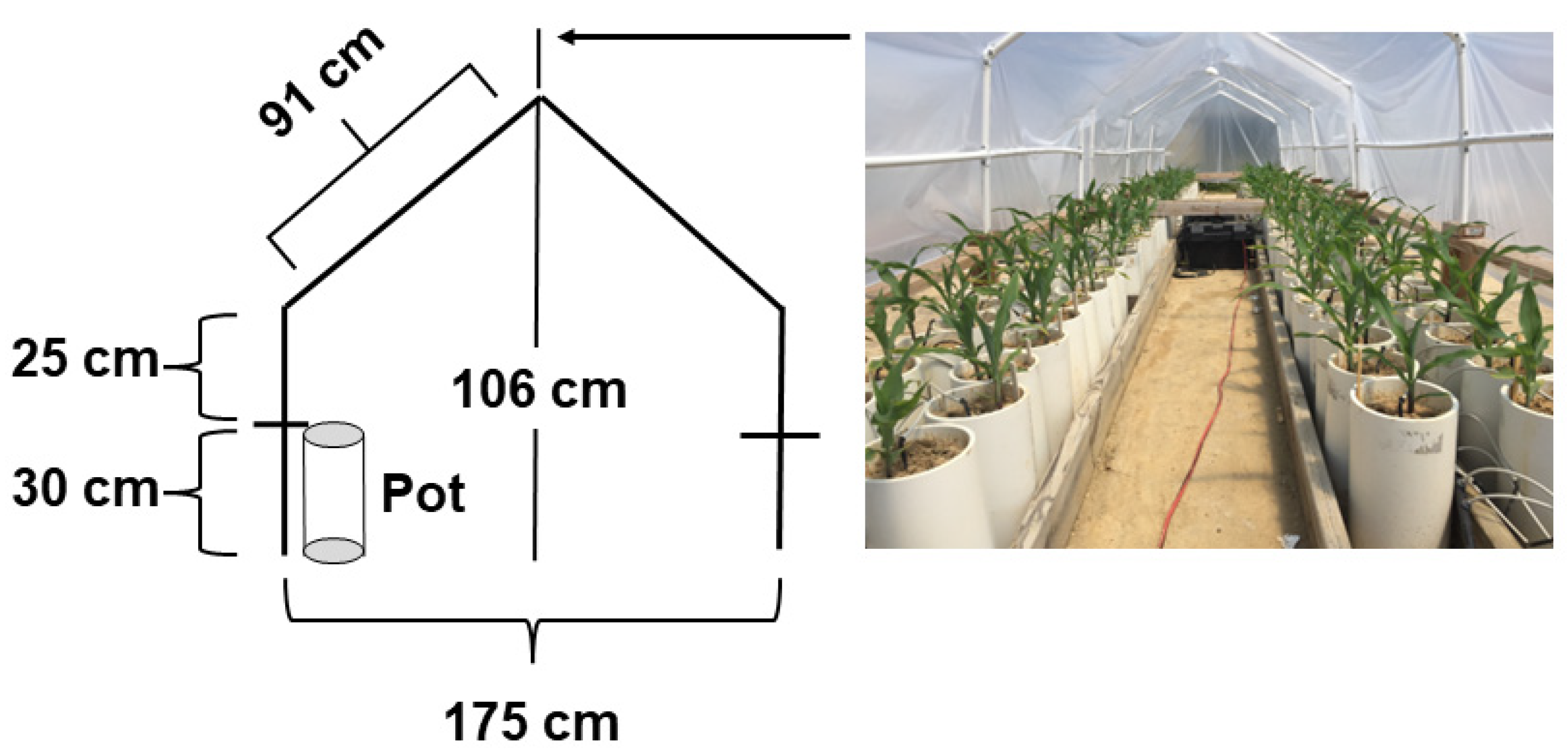 Agriculture 14 00425 g001