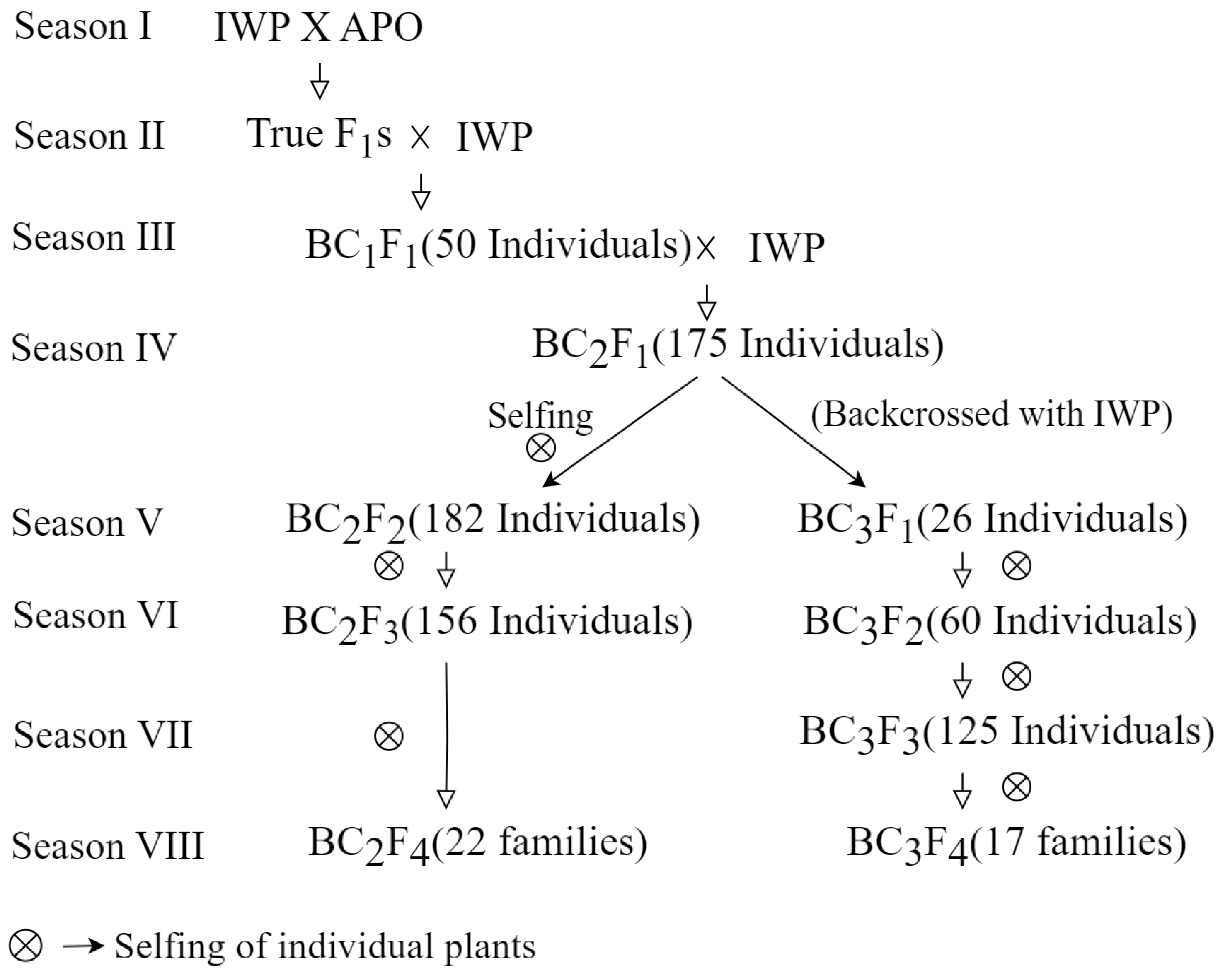 Agriculture 14 00431 g001
