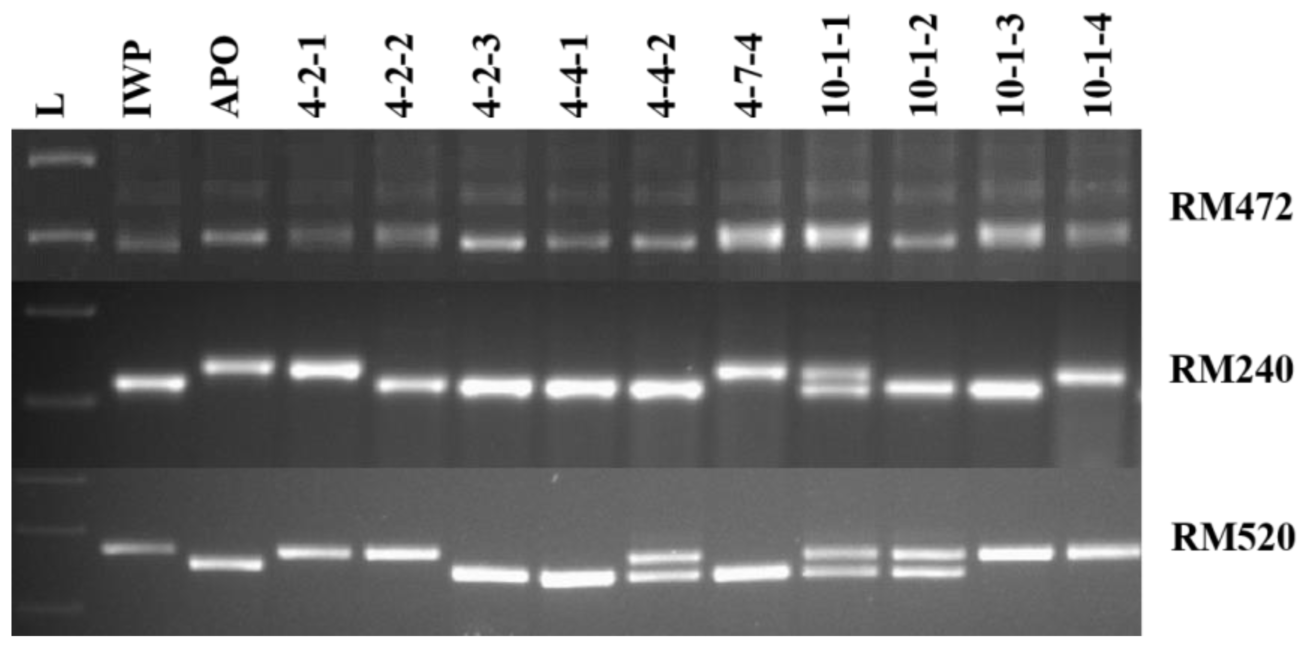 Agriculture 14 00431 g003