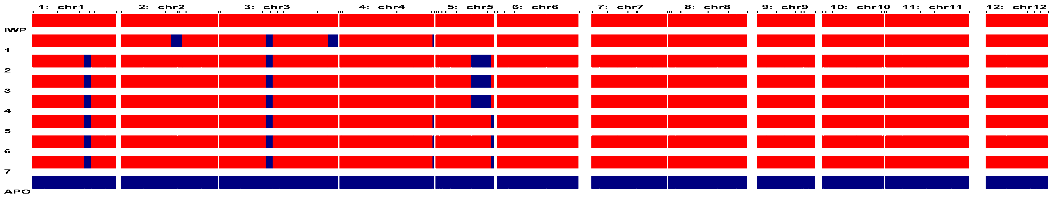 Agriculture 14 00431 g004