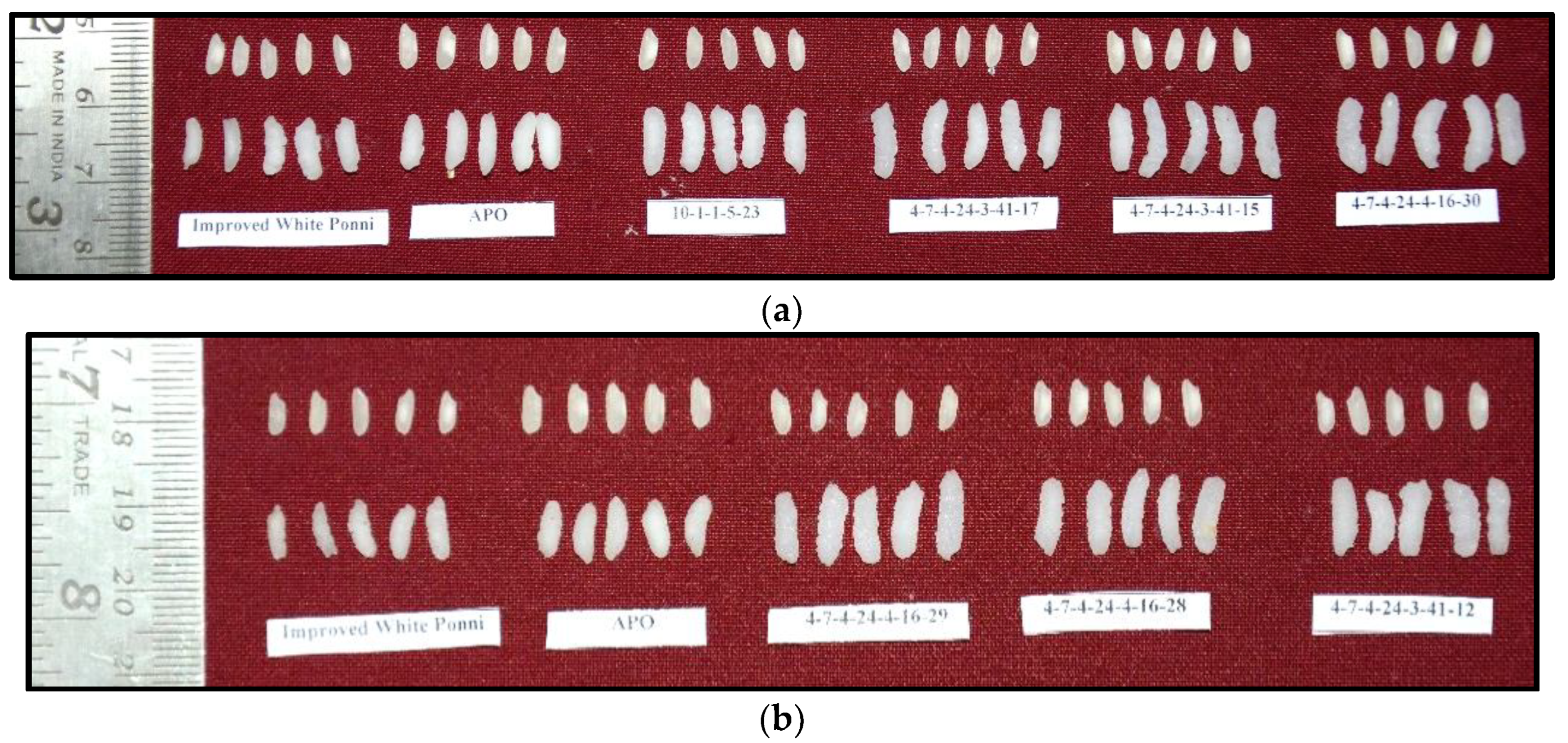 Agriculture 14 00431 g005