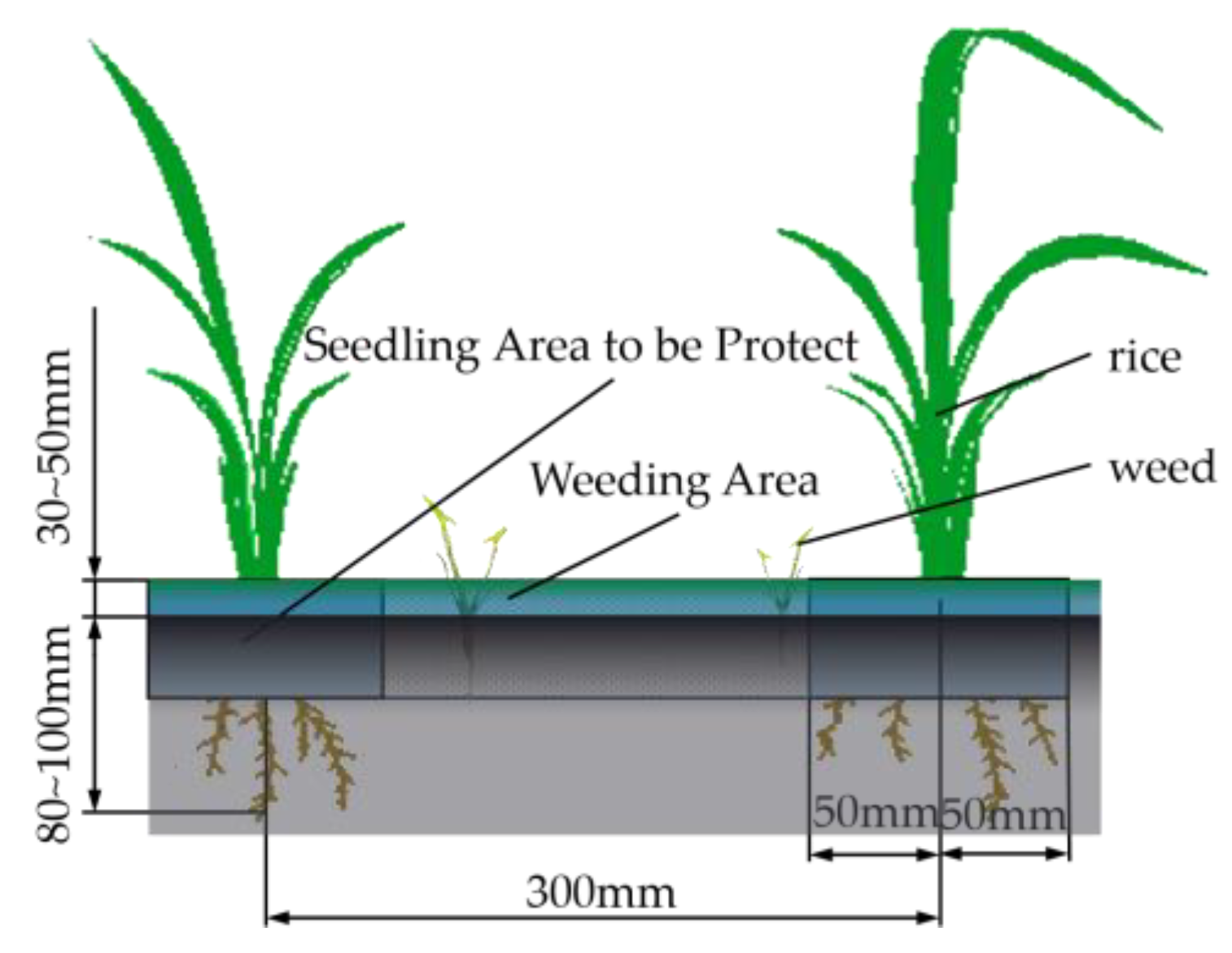 Agriculture 14 00444 g002