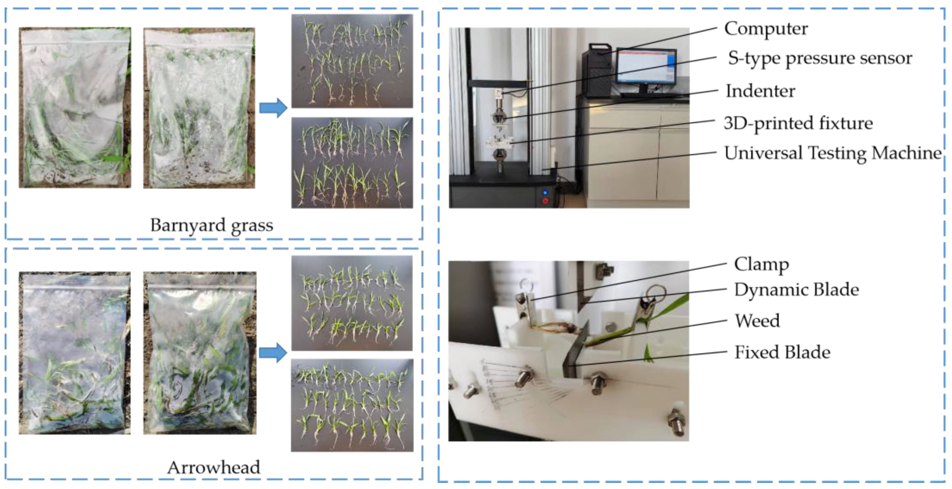 Agriculture 14 00444 g005