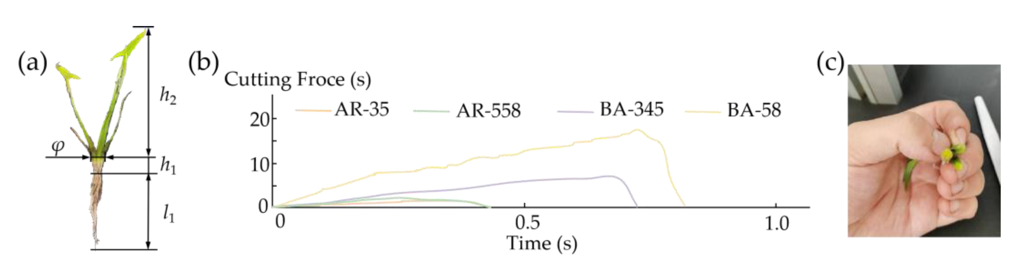 Agriculture 14 00444 g008